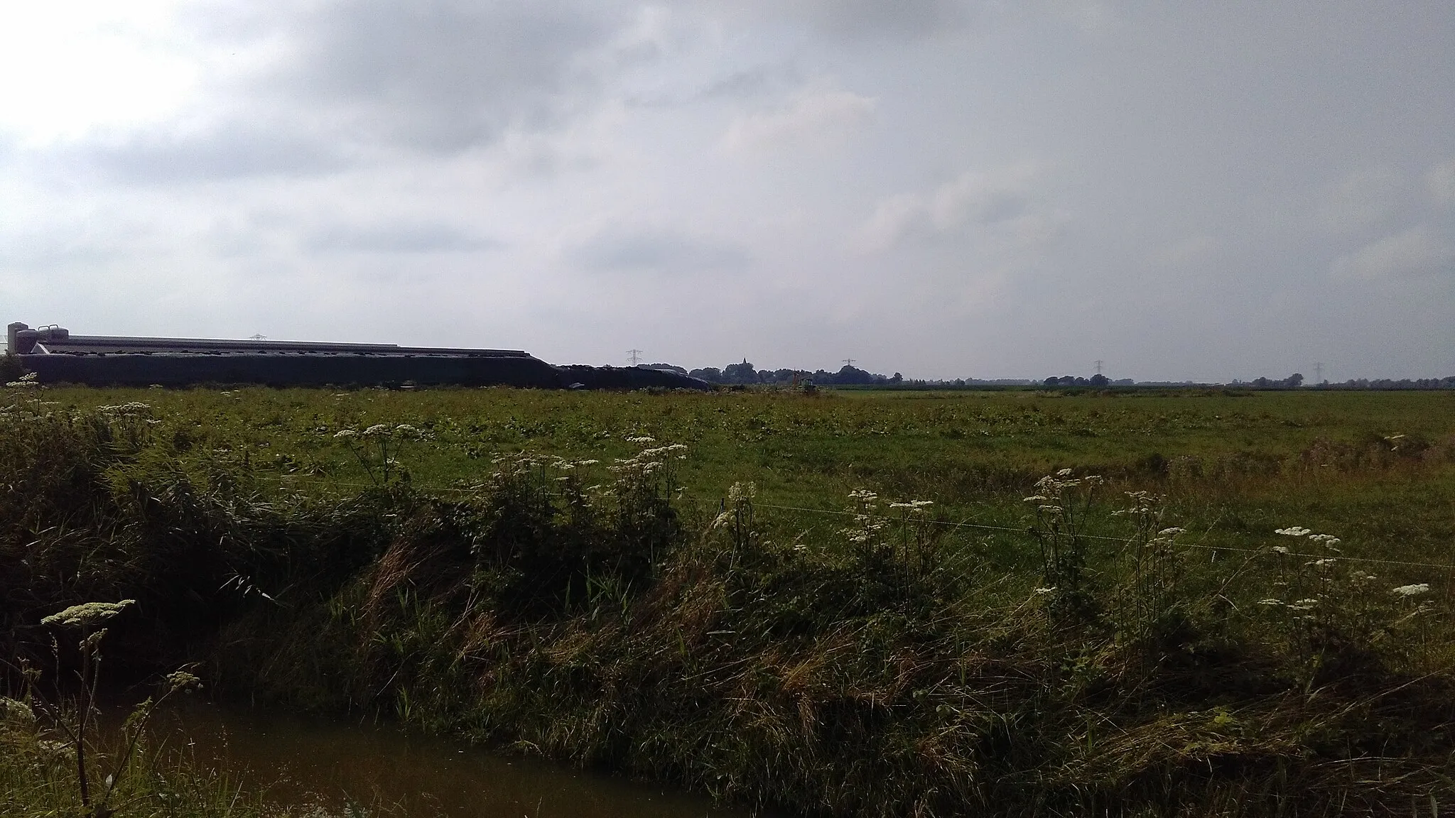 Photo showing: Terp of verhoogde woonplaats naast Hogebierenweg 1 in Haringhuizen. De terp wordt gedateerd op de Middeleeuwen.