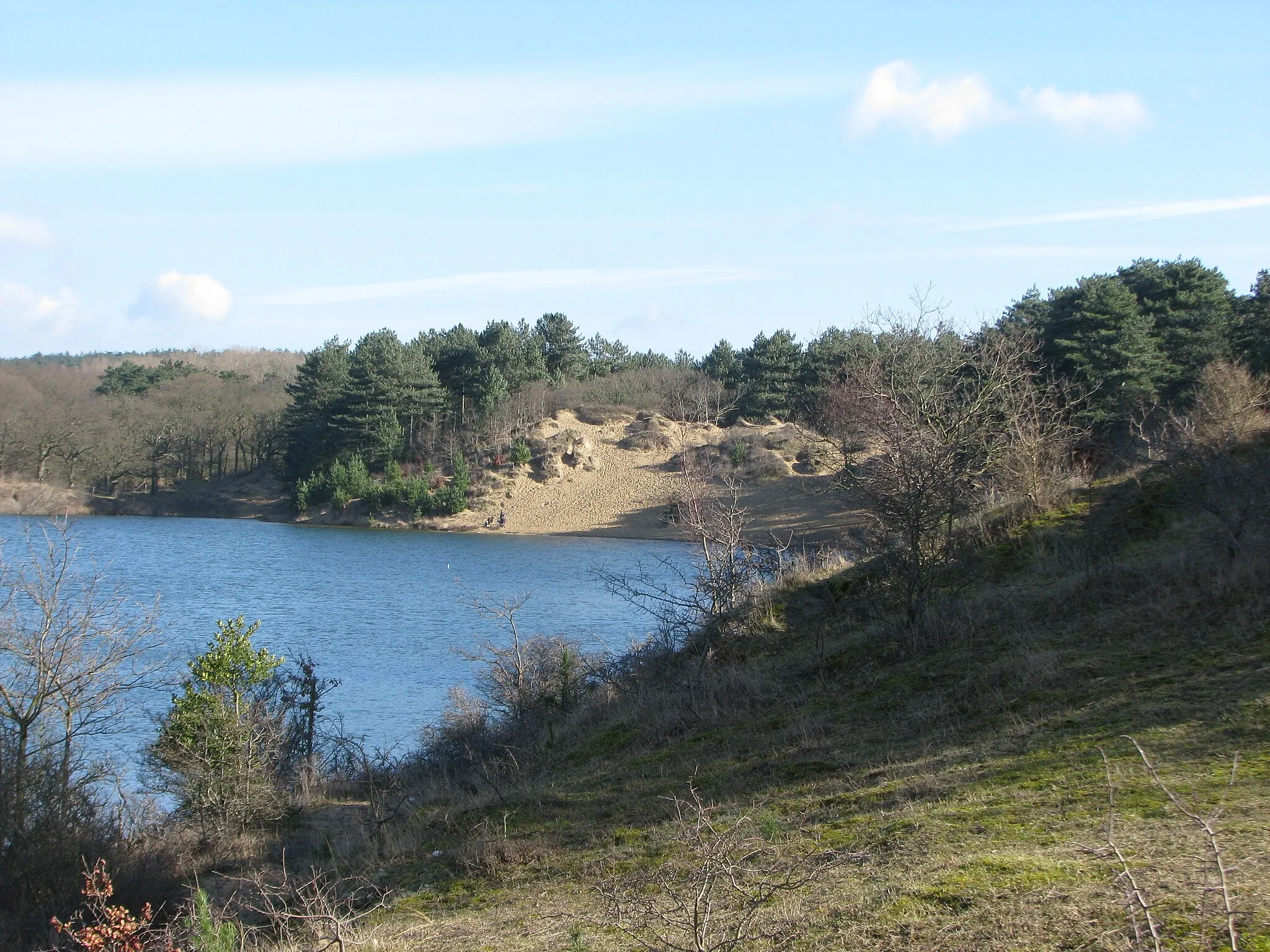 Photo showing: Eastern lake in Zuid-Kennemerland National Park