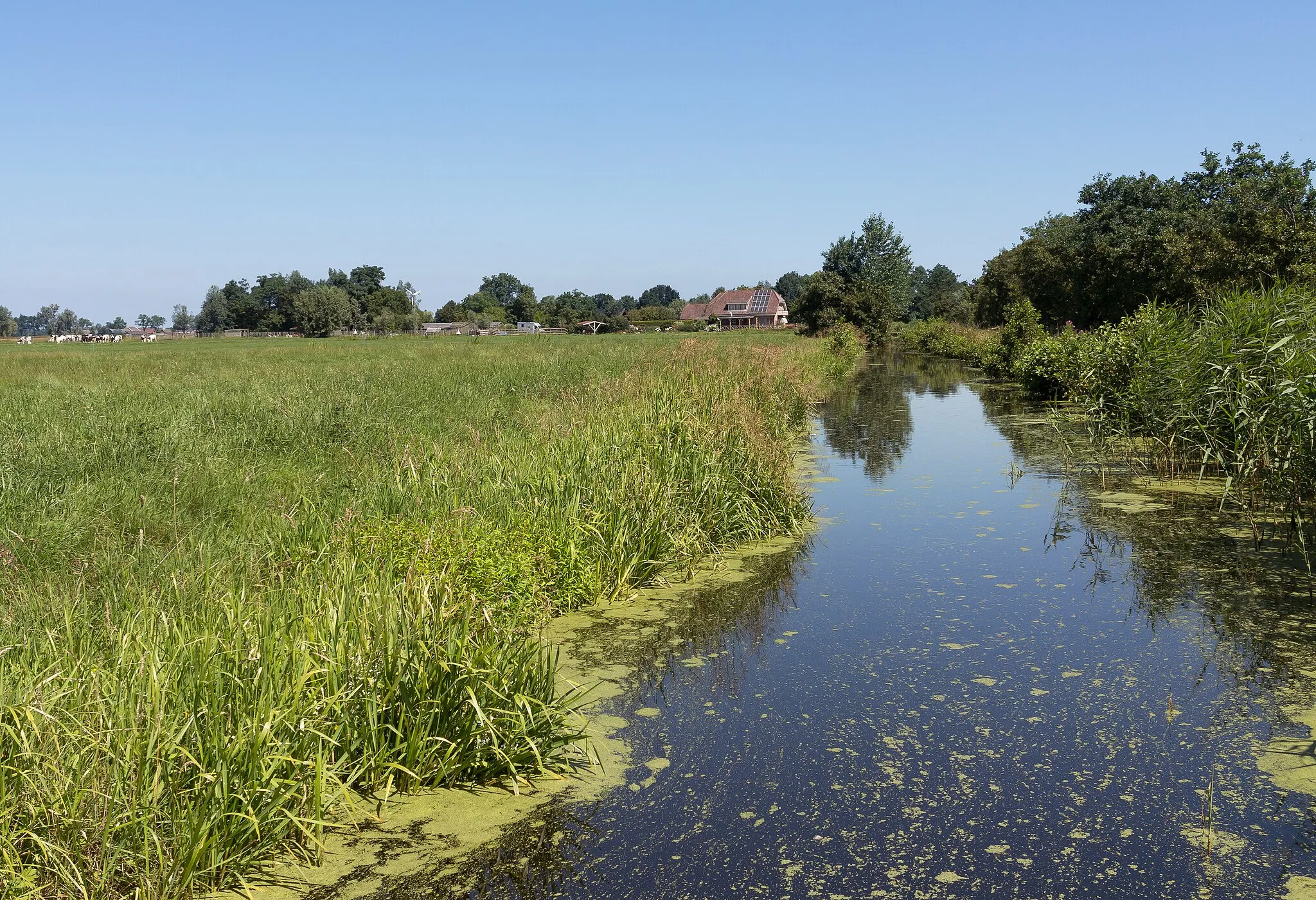 Photo showing: Wilnis, canal (de Veldwetering) from the Wilnisse Zuwe