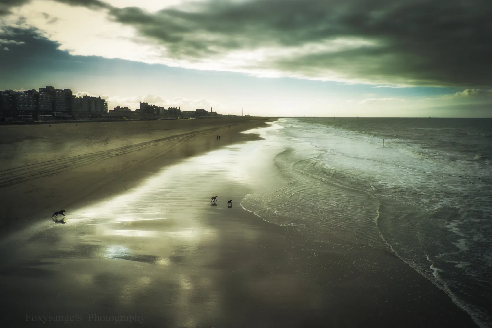 Photo showing: 500px provided description: Taken in Hollende Vollendam [#sky ,#city ,#sea ,#light ,#dogs ,#sand ,#beatch ,#Hollande ,#bestofmarch ,#Bestofmarch]