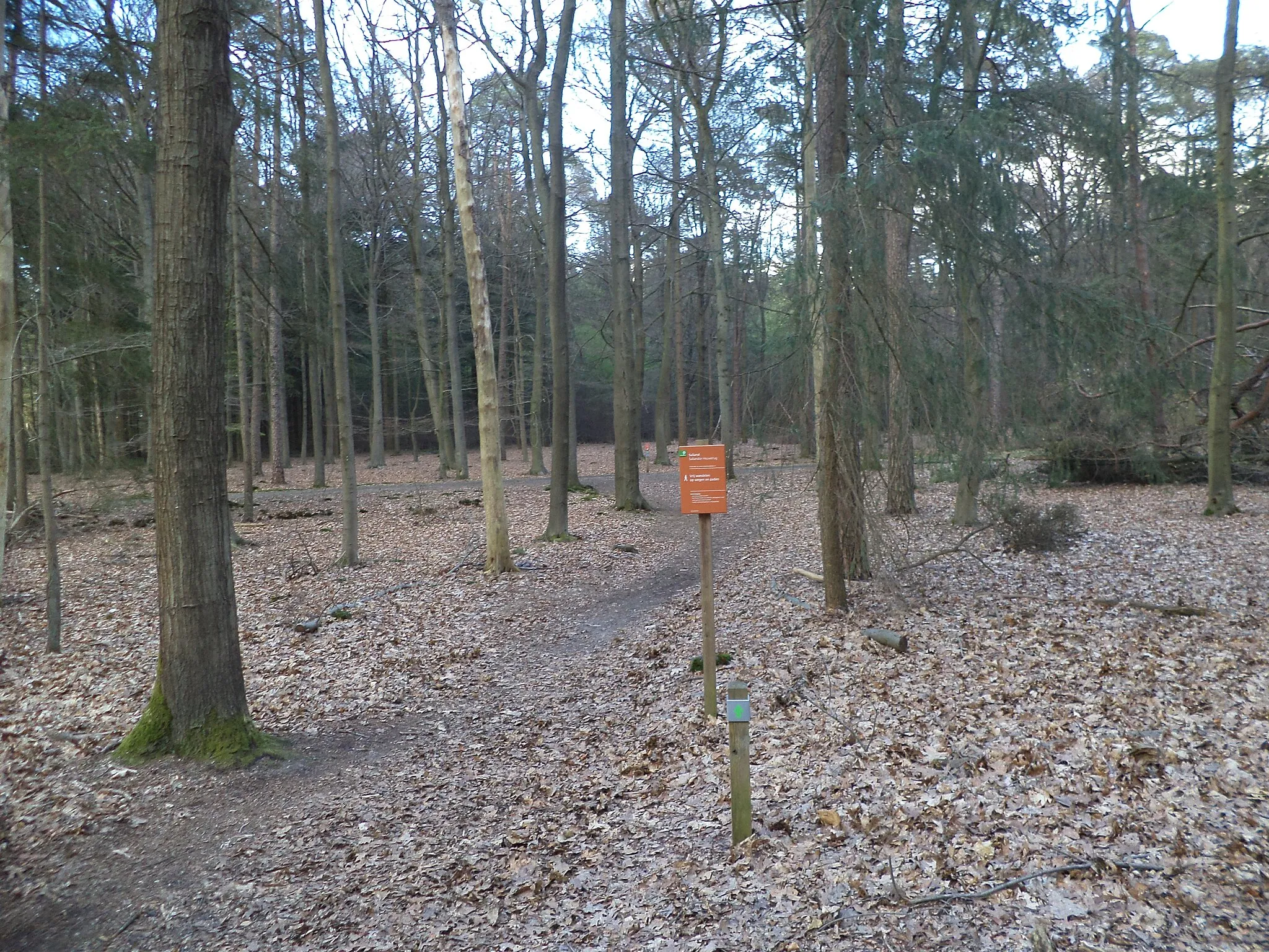 Photo showing: Grafheuvels aan de Eelerbergweg, de andere zijde van de Eelerbergweg, gezien vanuit het westen