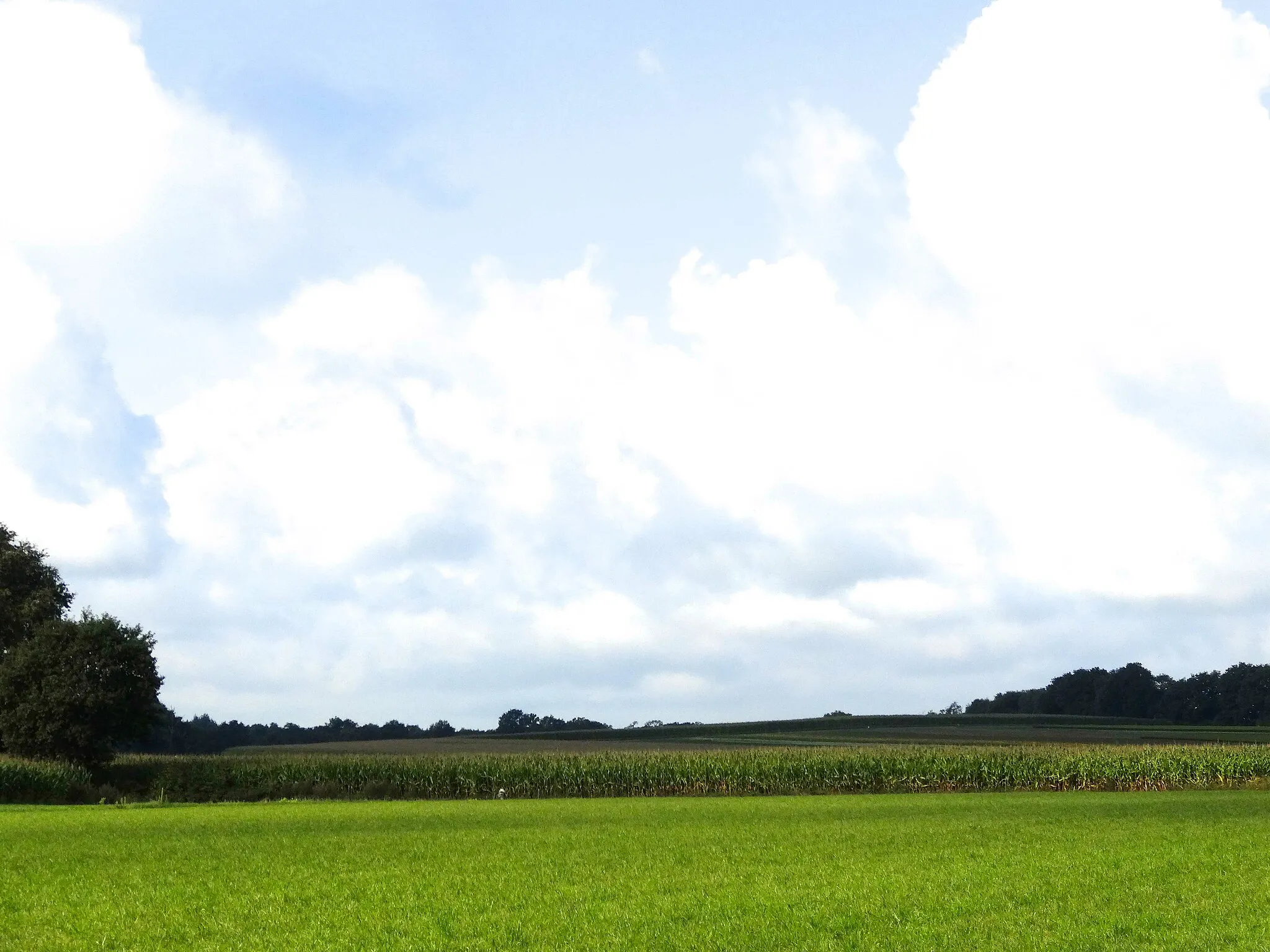 Photo showing: Zicht op de Rhaanderesch op de stuwwal de Mekkelink