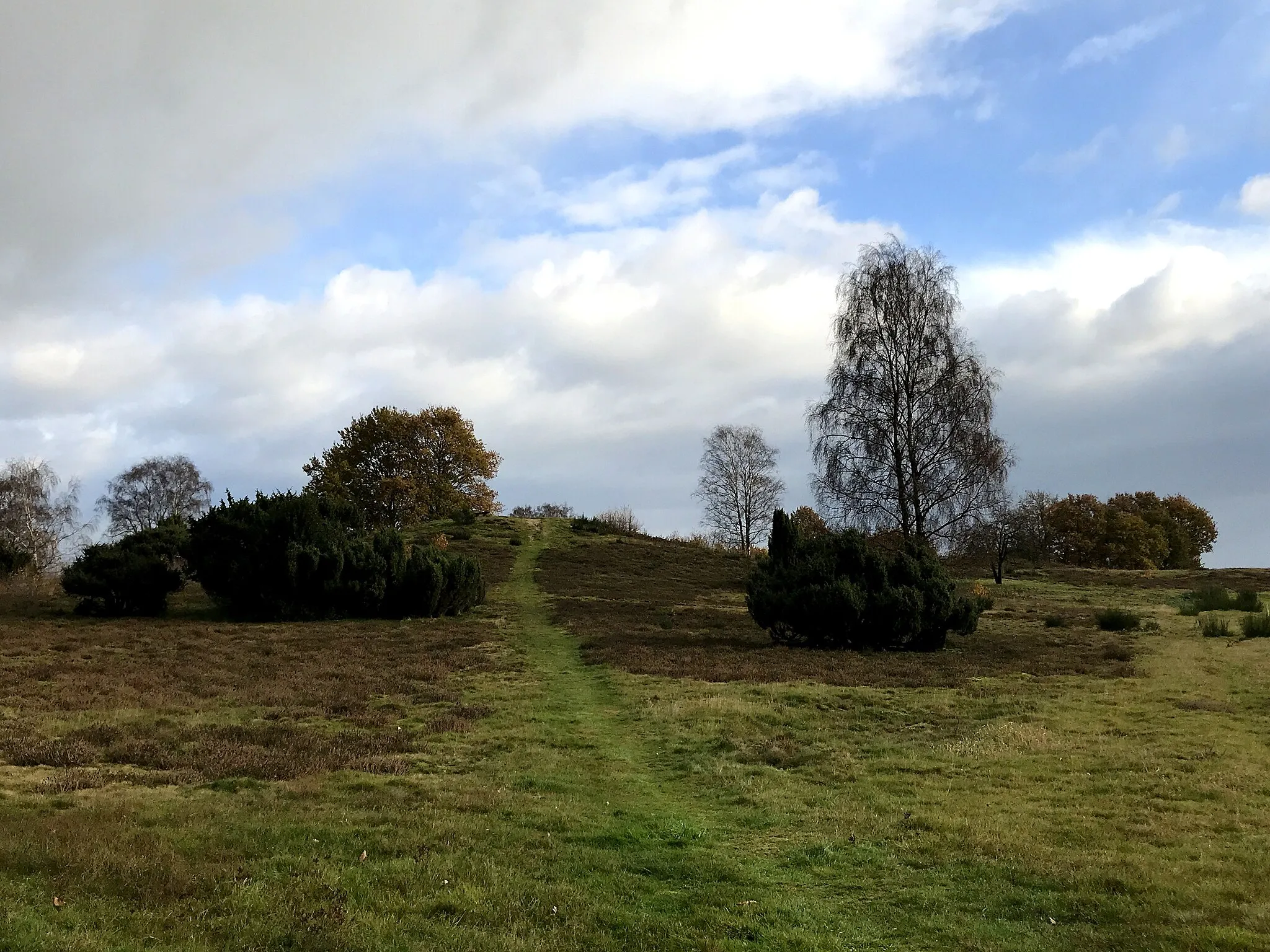 Photo showing: Gräberfeld am Spöllberg