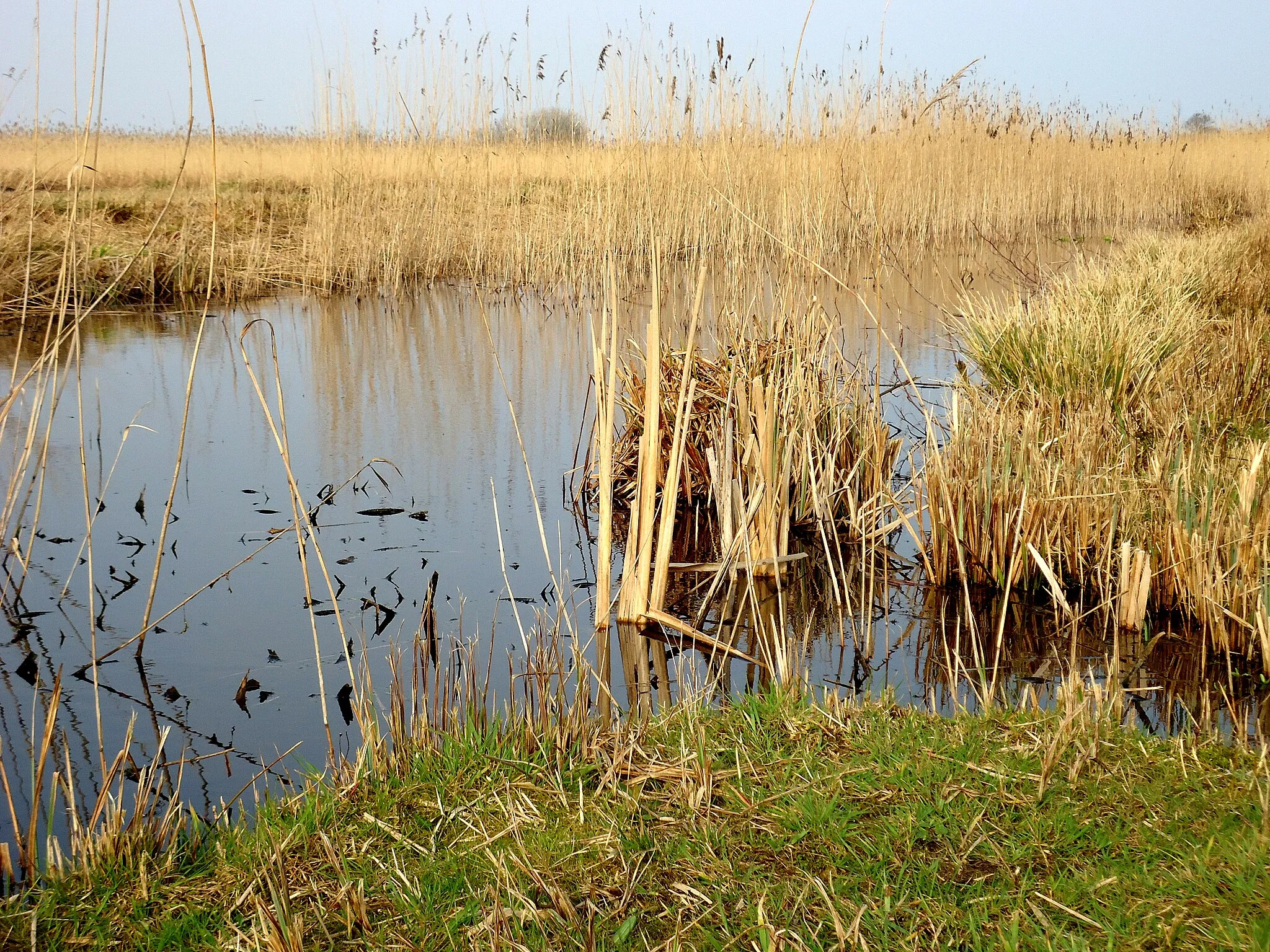 Photo showing: De Wieden nabij de Beulakerwijde - bezoekerscentrum