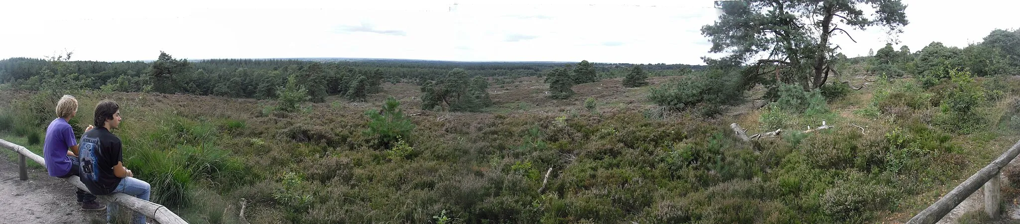 Photo showing: Panorama Sallandse Heuvelrug - 2009