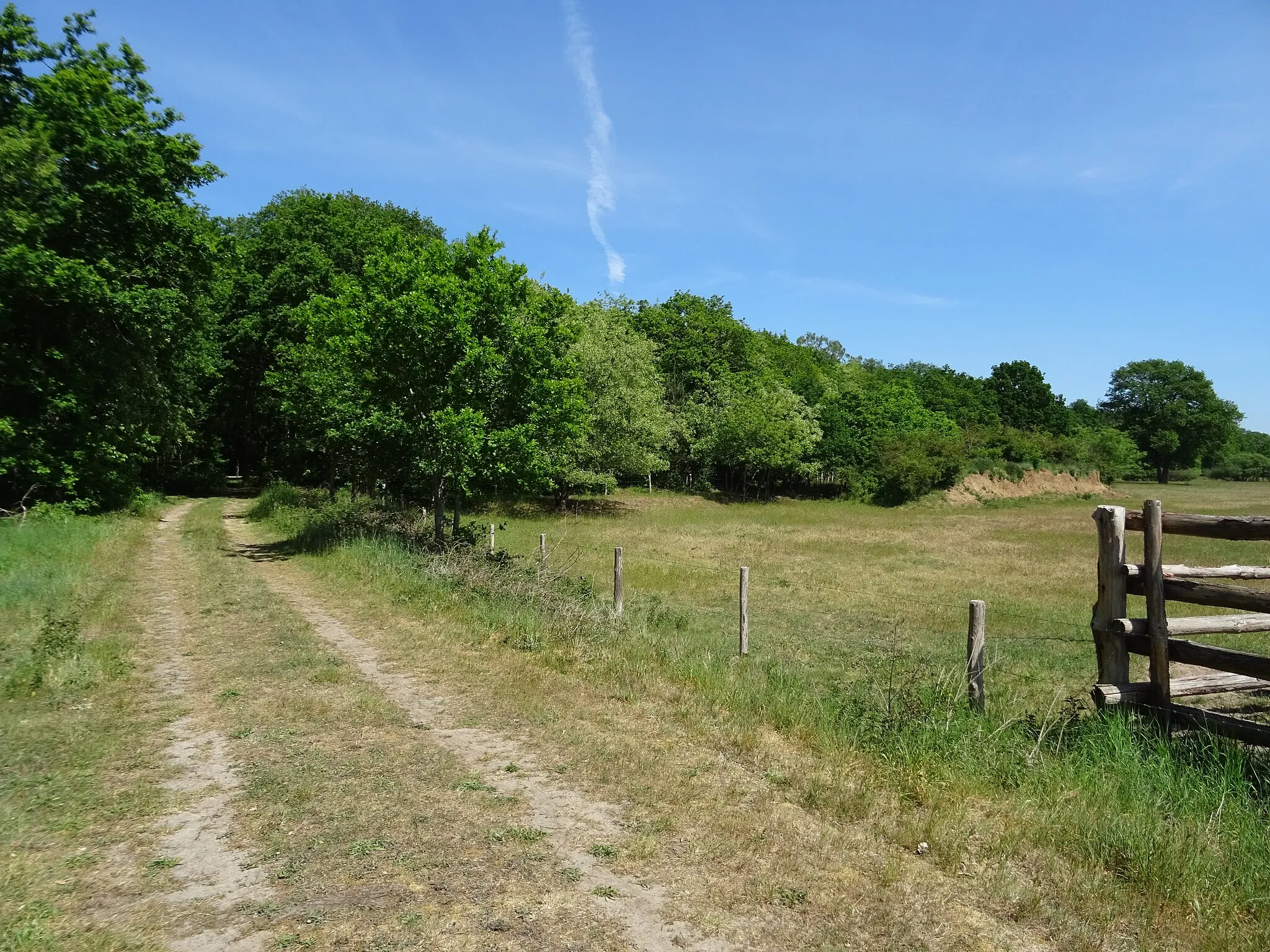 Photo showing: A view of Arriën, Overijssel, the Netherlands in May 2020