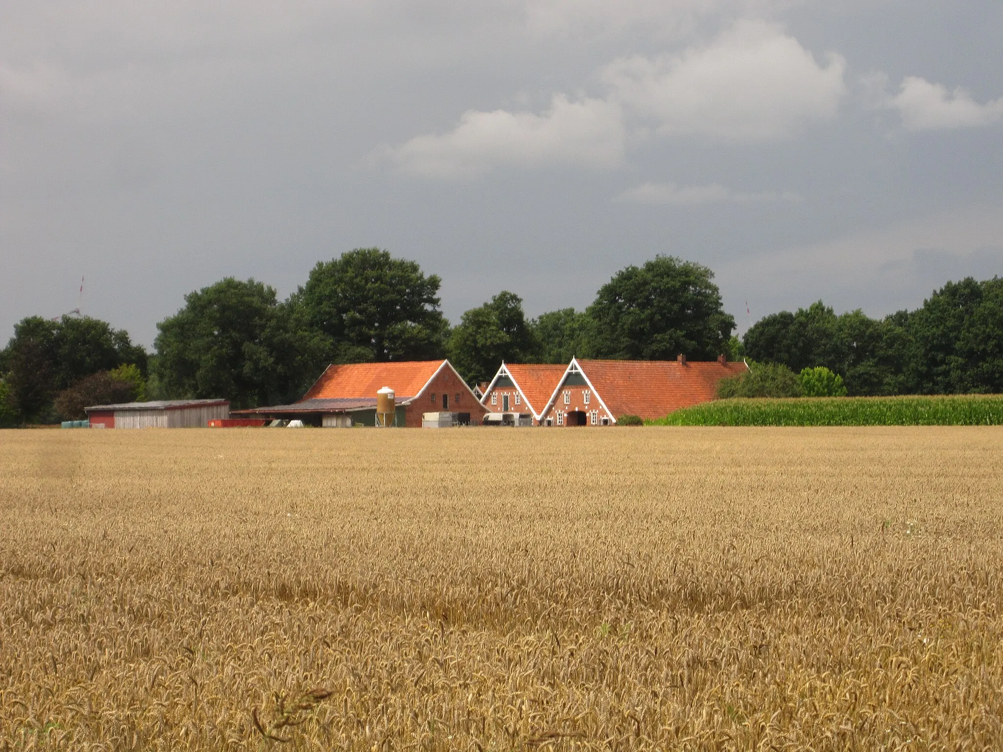 Photo showing: Gölenkamp, Germany