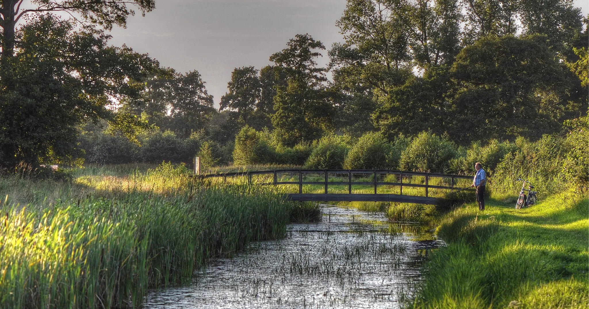 Photo showing: A perfect day for fishing