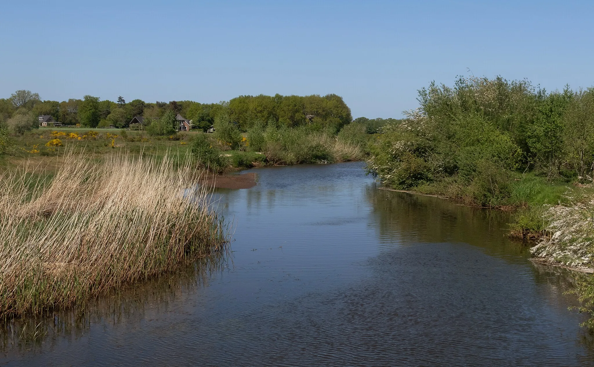 Photo showing: near Lemele, river: the Beneden Regge