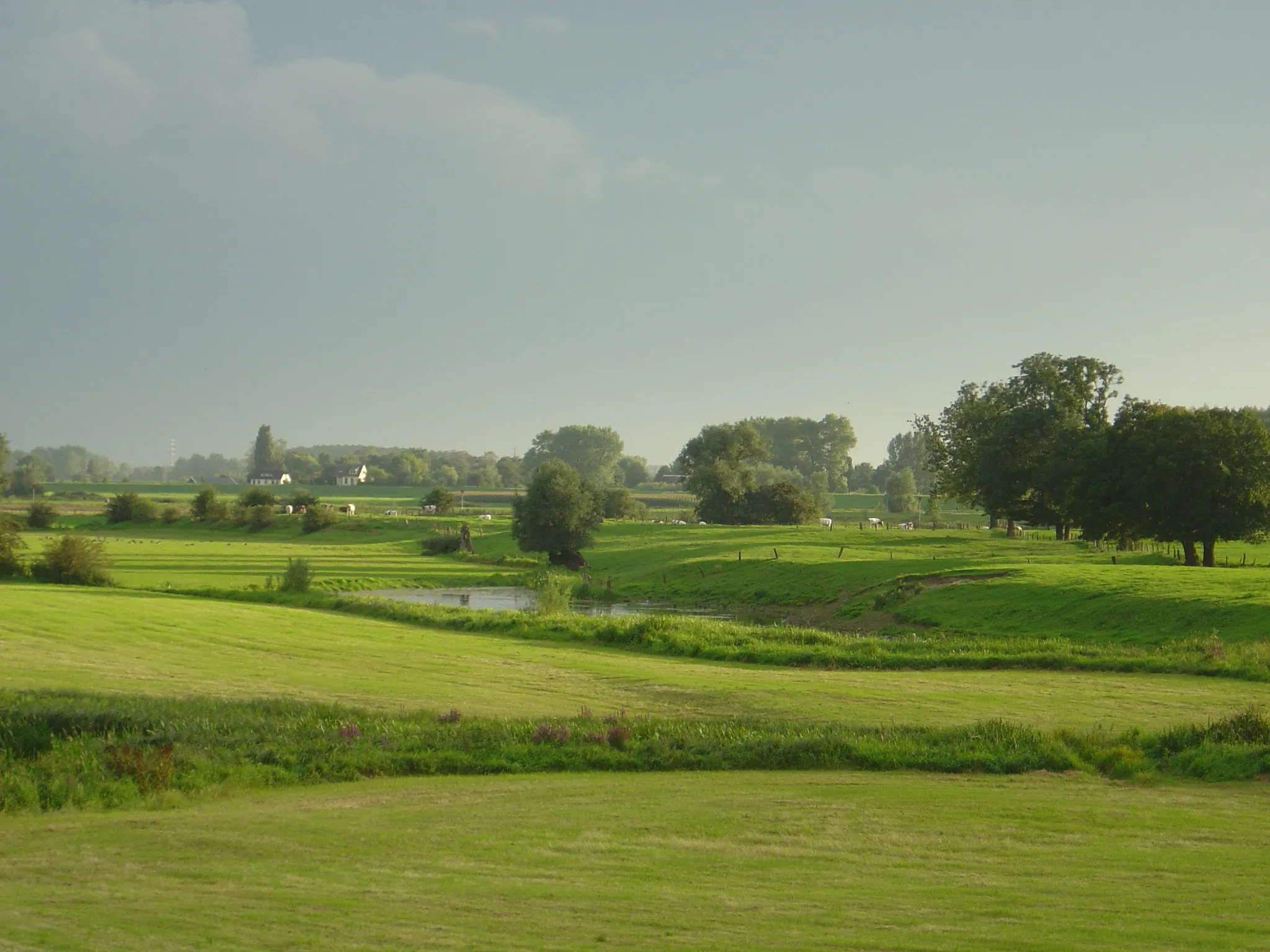 Photo showing: Uiterwaarden (reservoir river beds of the river IJssel at Olst, the Netherlands