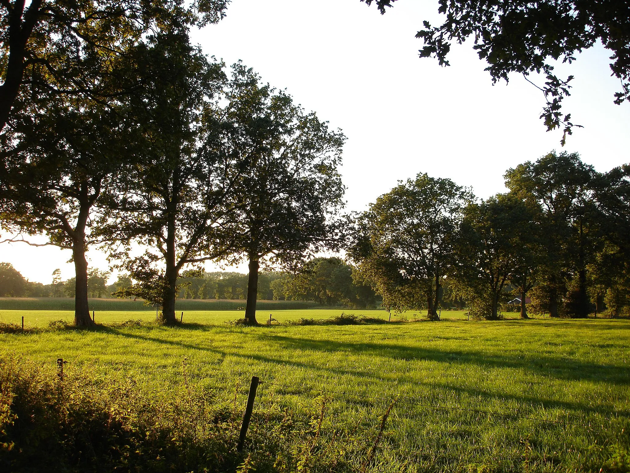 Photo showing: Panorama van Rectum. Foto H.Stegeman, 2006