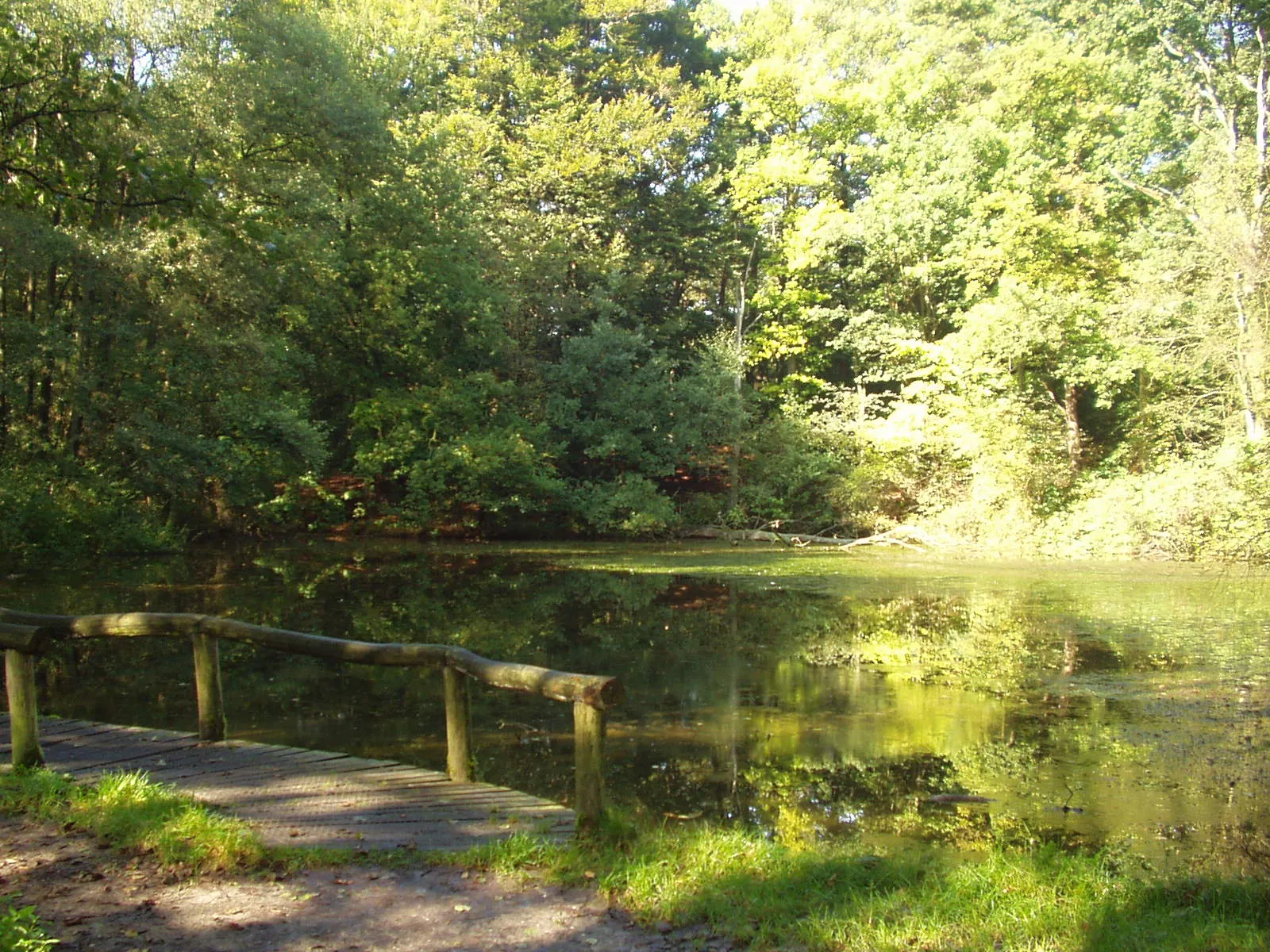 Photo showing: Het Springendal, Bronnenroute (Netherlands, Overijssel, Tubbergen)