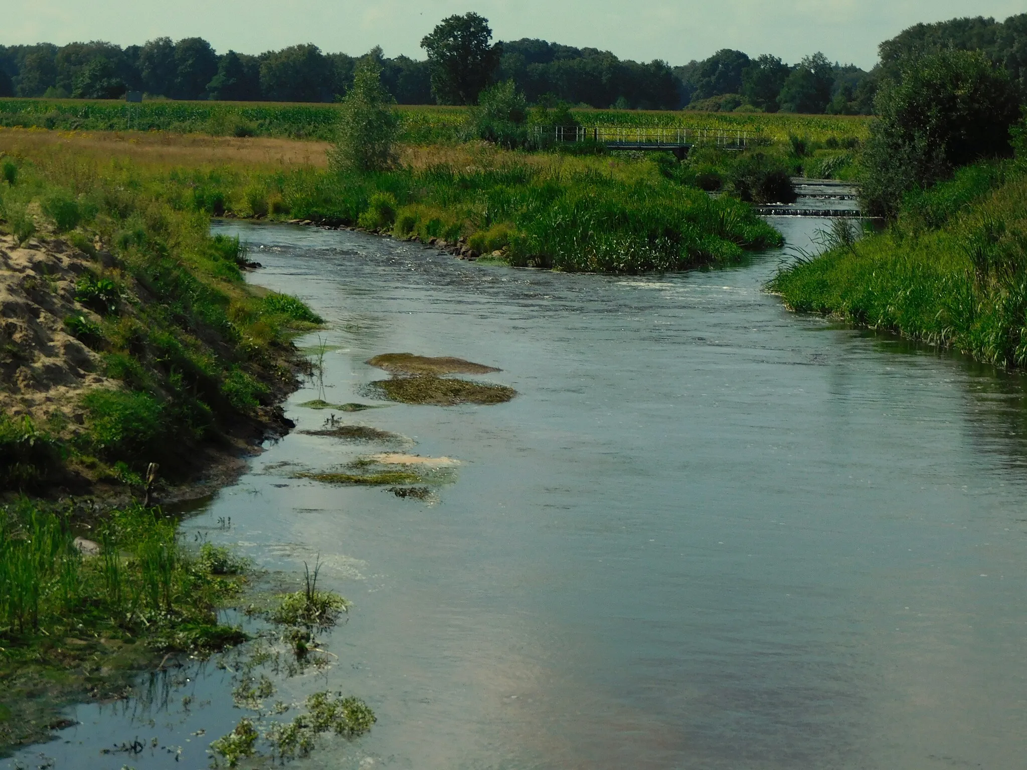 Photo showing: Junne nevengeul en visstuw