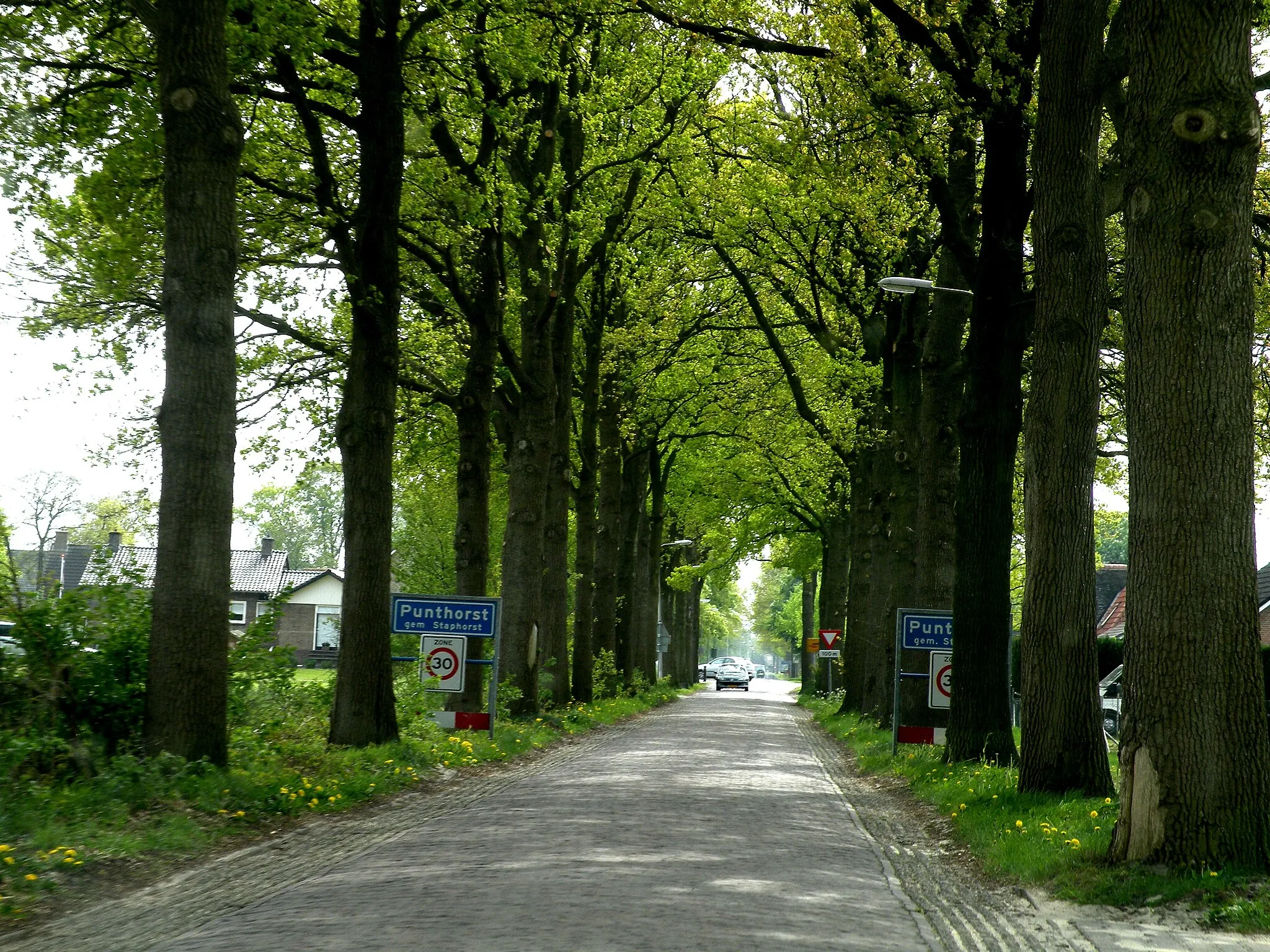 Photo showing: Punthorst, hamlet of Staphorst