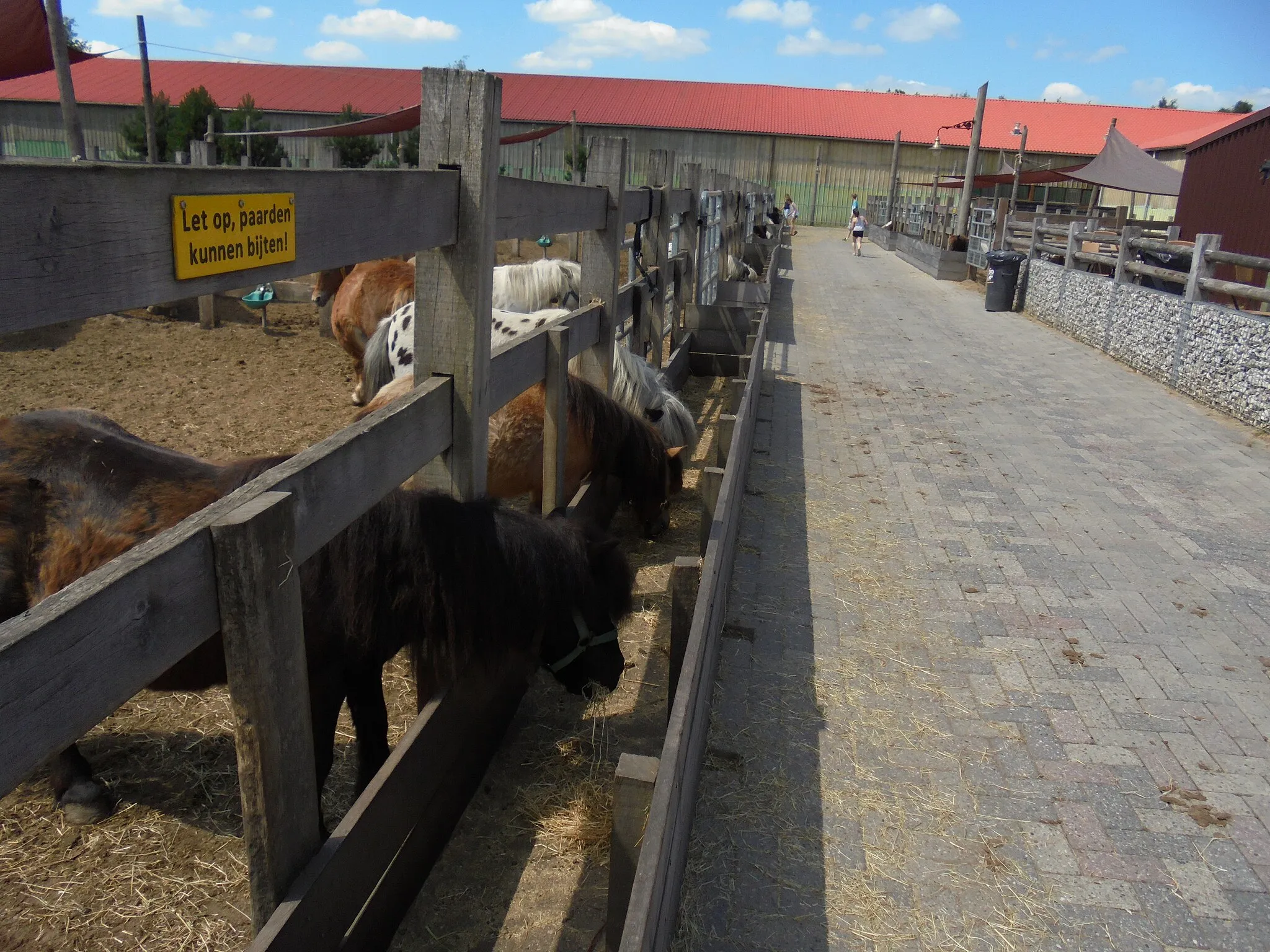 Photo showing: Pony's in Slagharen