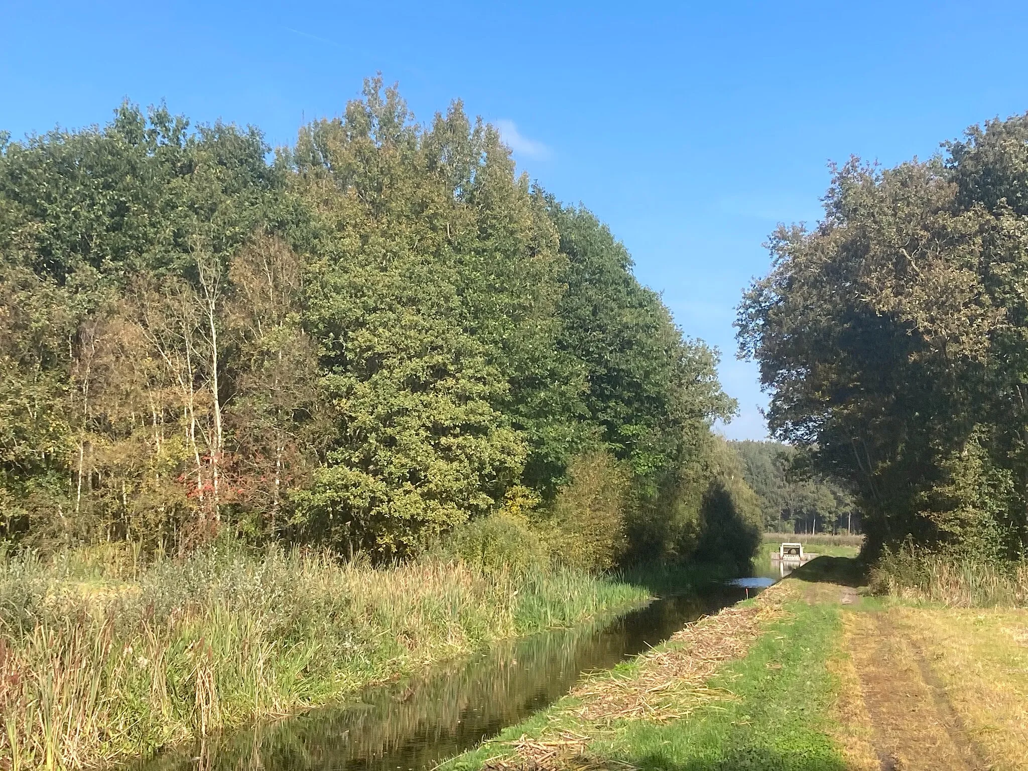 Photo showing: Autoweg Schoonhoven Bos Landgoed Het Rechtuit