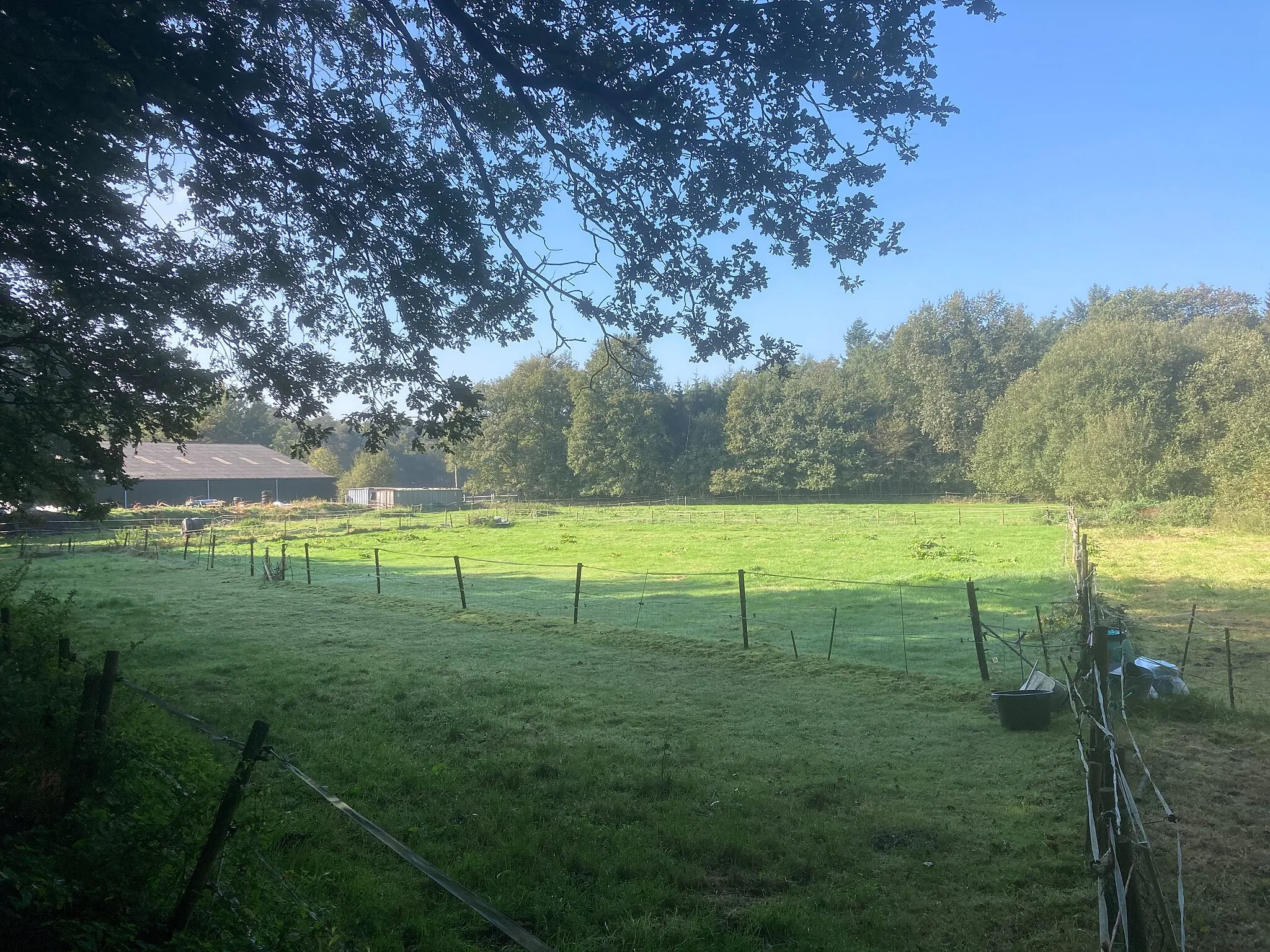 Photo showing: Autoweg Schoonhoven Bos Landgoed Het Rechtuit