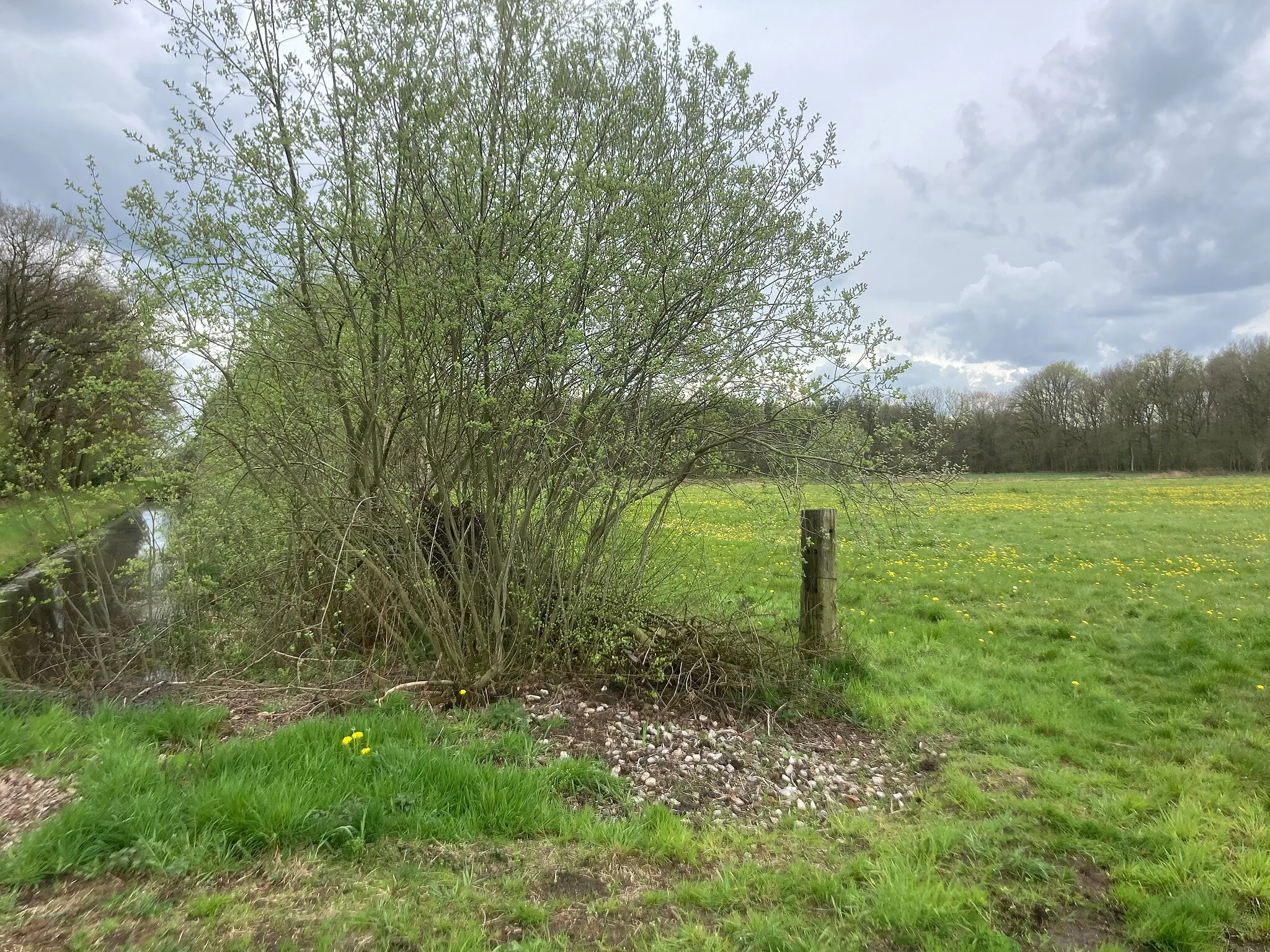 Photo showing: Bossen Elim Hollandscheveld Recreatiegebied schoonhoven