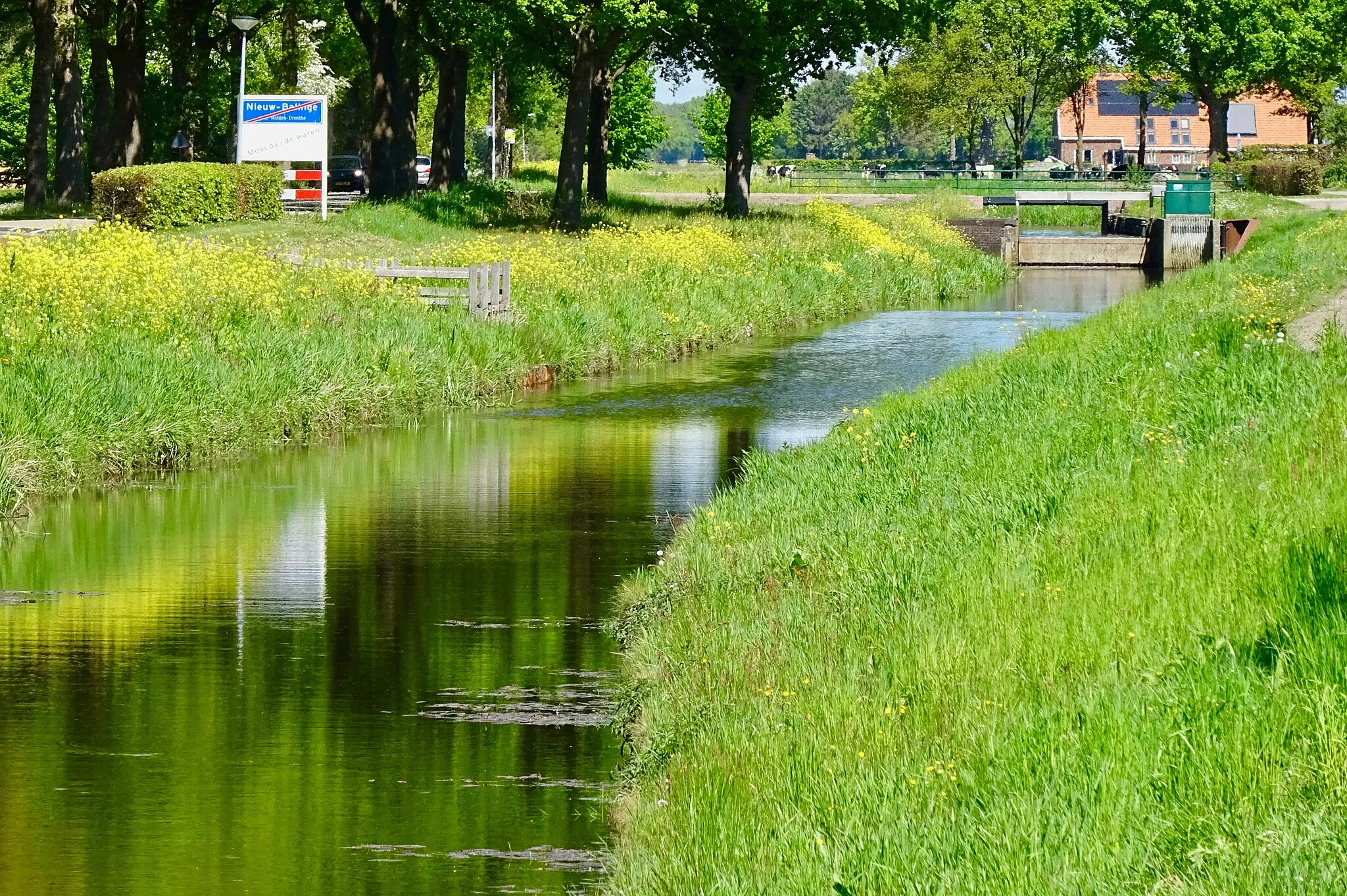 Photo showing: De Verlengde Middenraai in Nieuw-Balinge