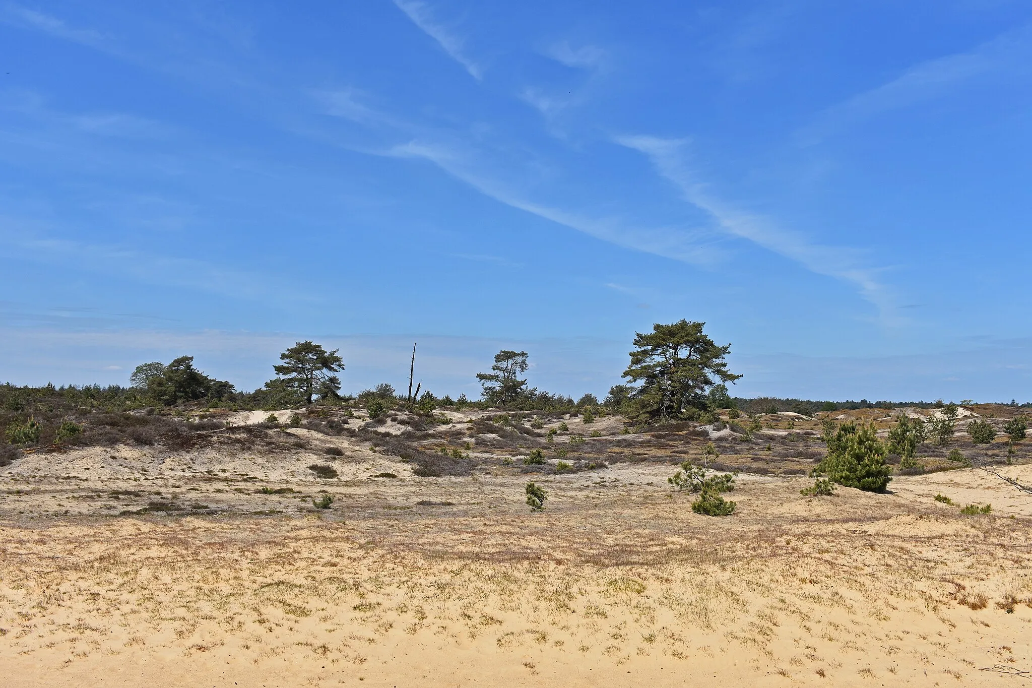 Photo showing: Aekingerzand, sands northeast of the observation tower