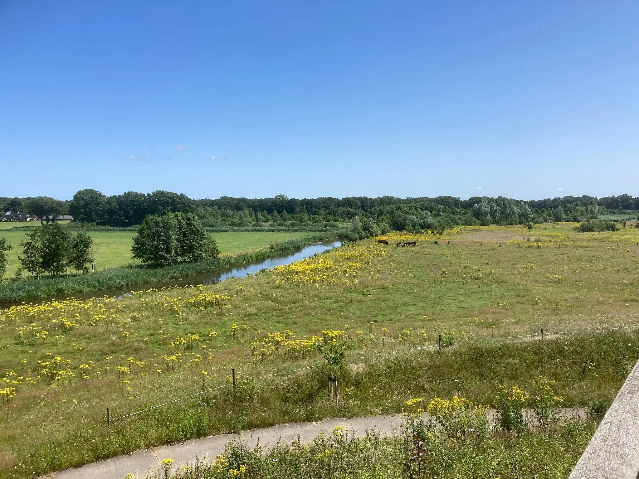 Photo showing: Boswachterij Hardenberg Vecht Distelberg