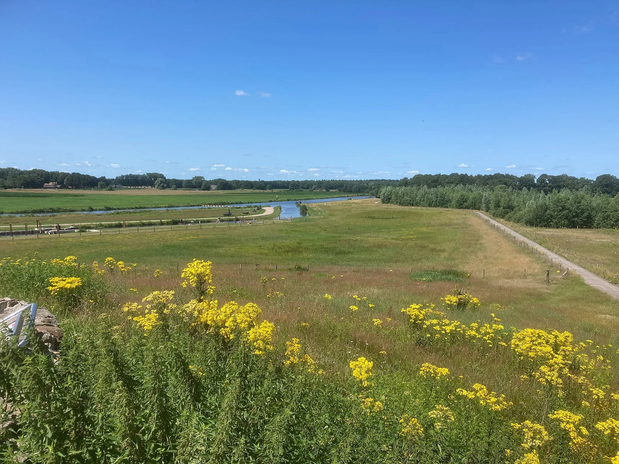 Photo showing: Boswachterij Hardenberg Vecht Distelberg