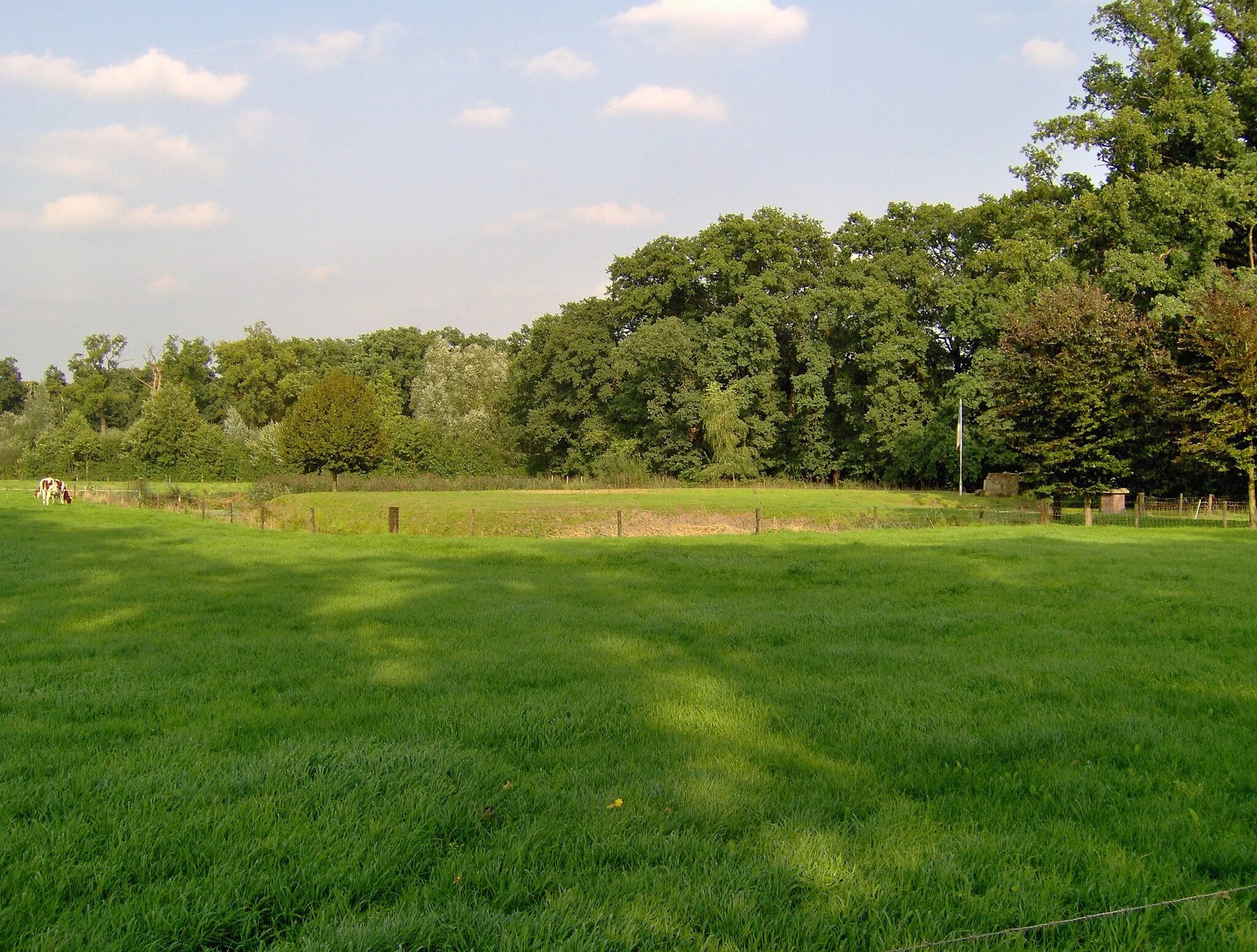 Photo showing: The remainings of the former castle of Weleveld between Zenderen en Hertme, near Borne, Netherlands