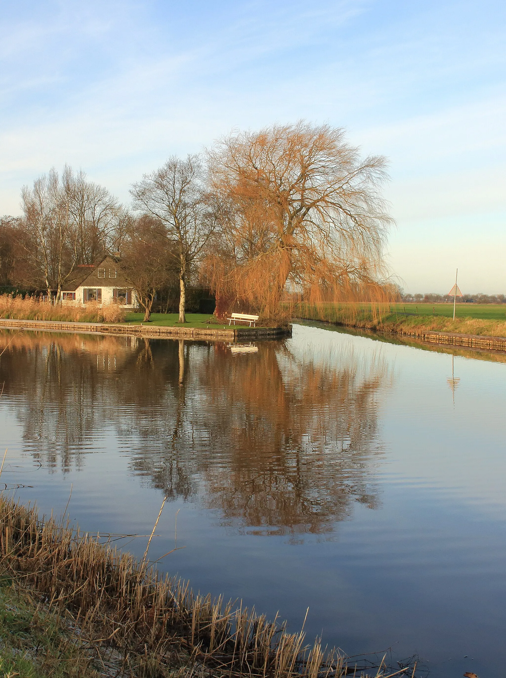 Photo showing: De Weerribben-Wieden National Park in the Netherlands. Willow (Salix babylonica) reflects in the water.