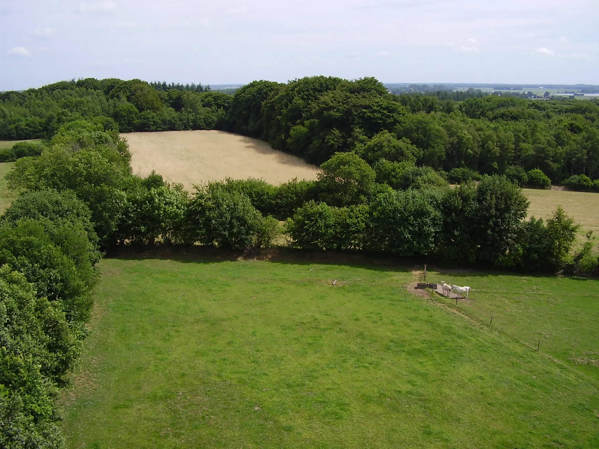 Photo showing: Uitzicht op de top van de Woldberg vanaf de uitkijktoren