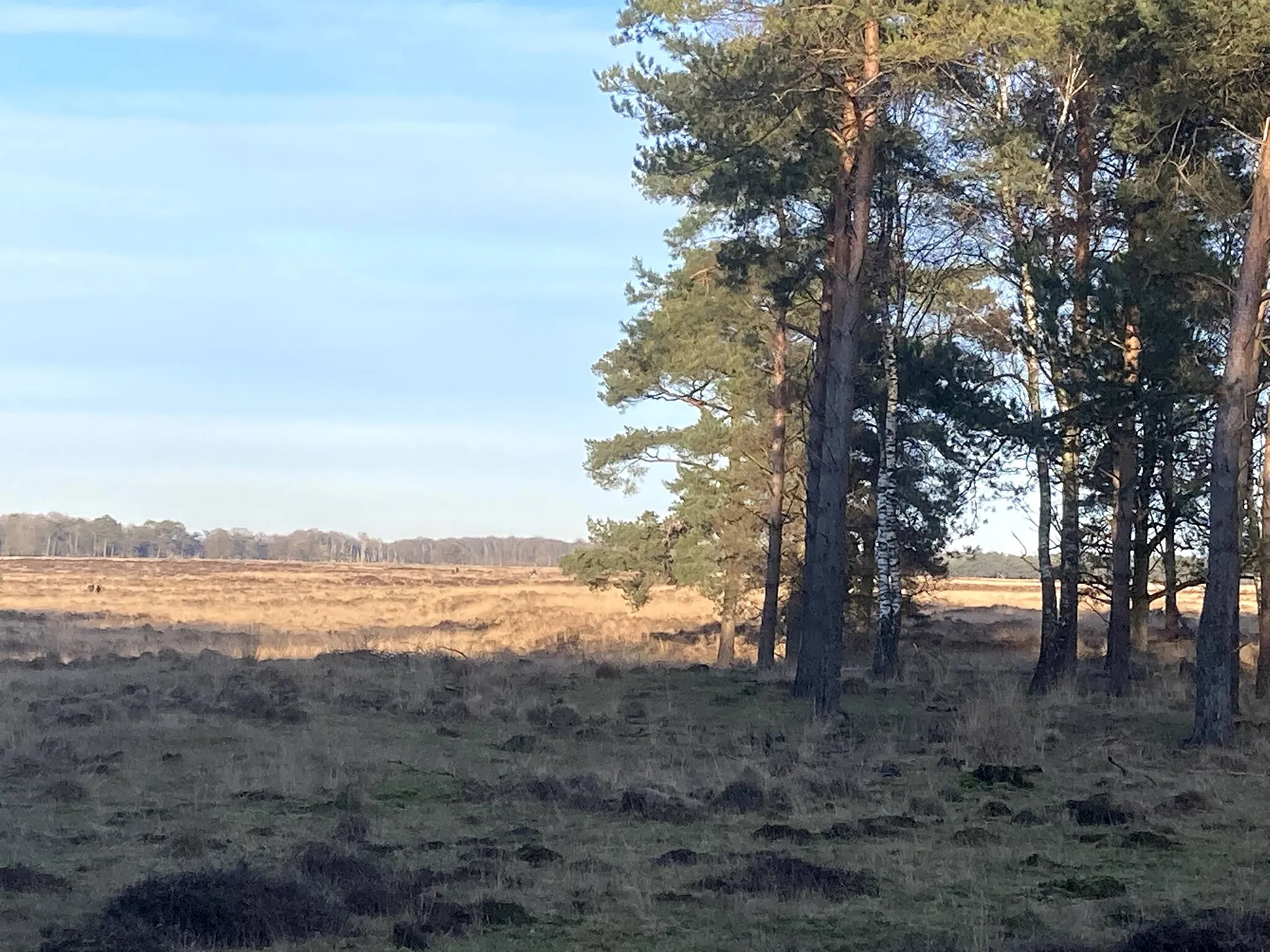 Photo showing: Doldersum.Wateren.Boschoord.Uitkijktoren.Doldersummerveld.Boyl.De.Kolonie.Heide