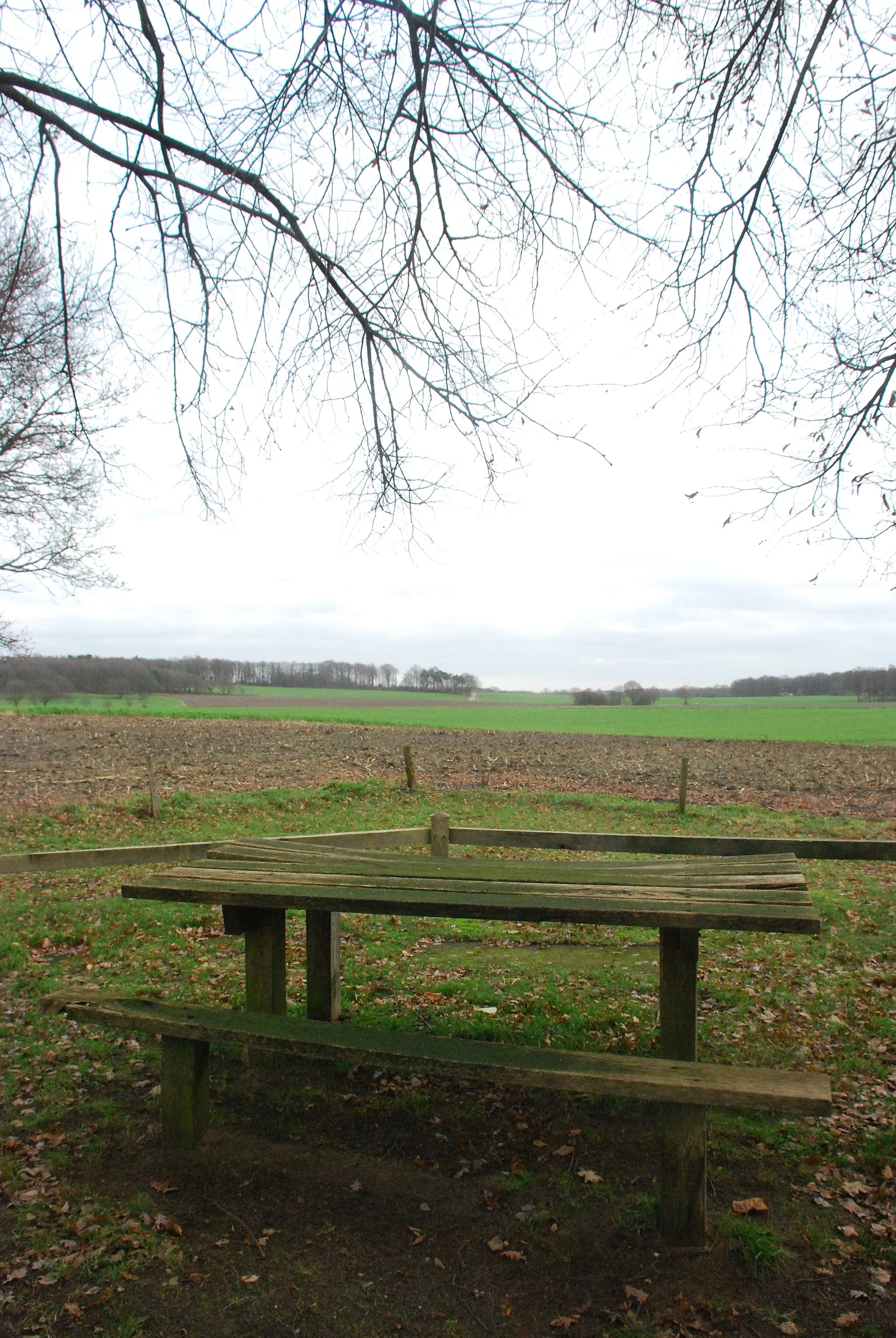 Photo showing: Uitzicht Dingspelerberg