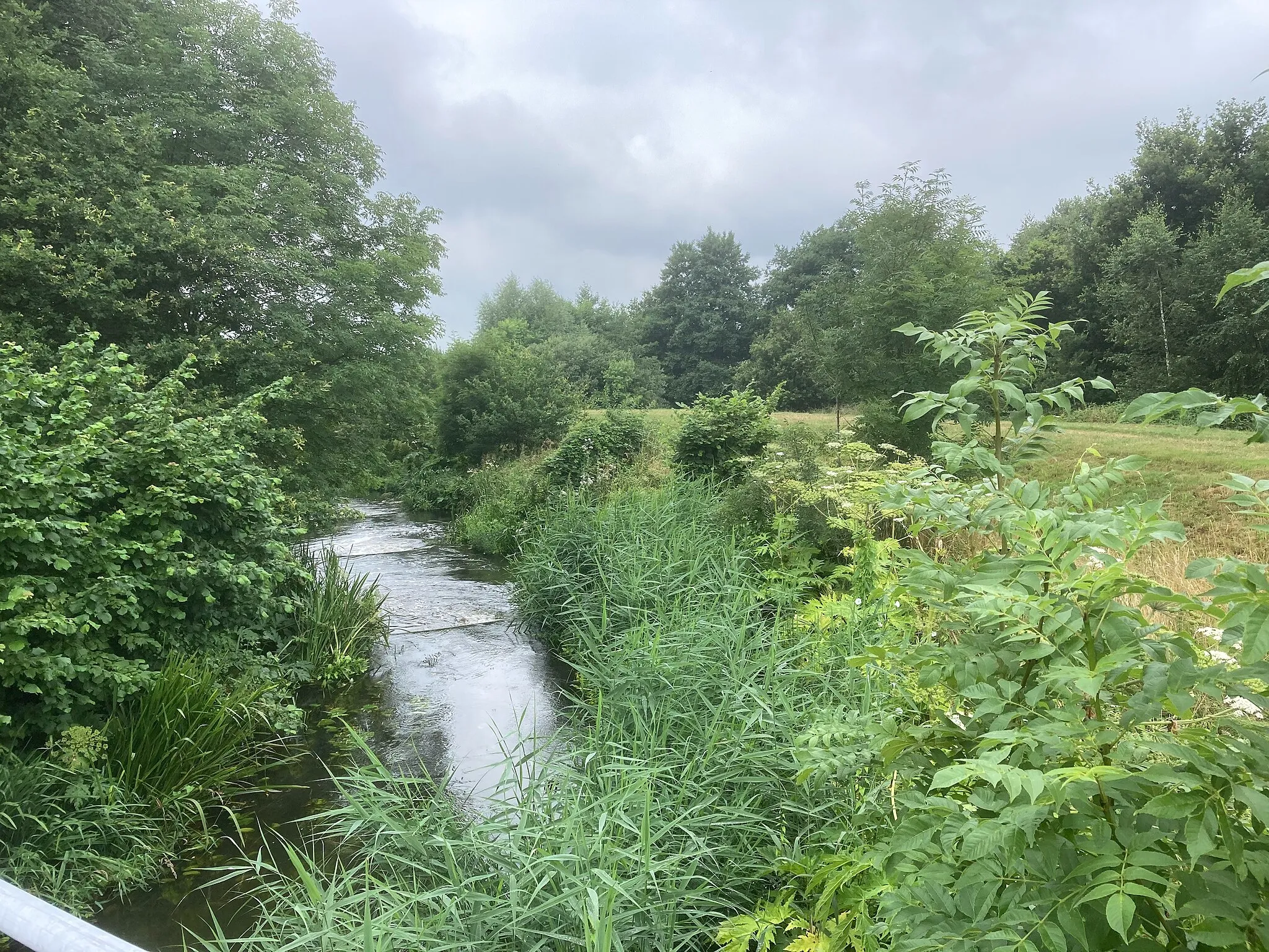 Photo showing: Gramsbergen Vechtpark Hardenberg Loozen Loozenlinie