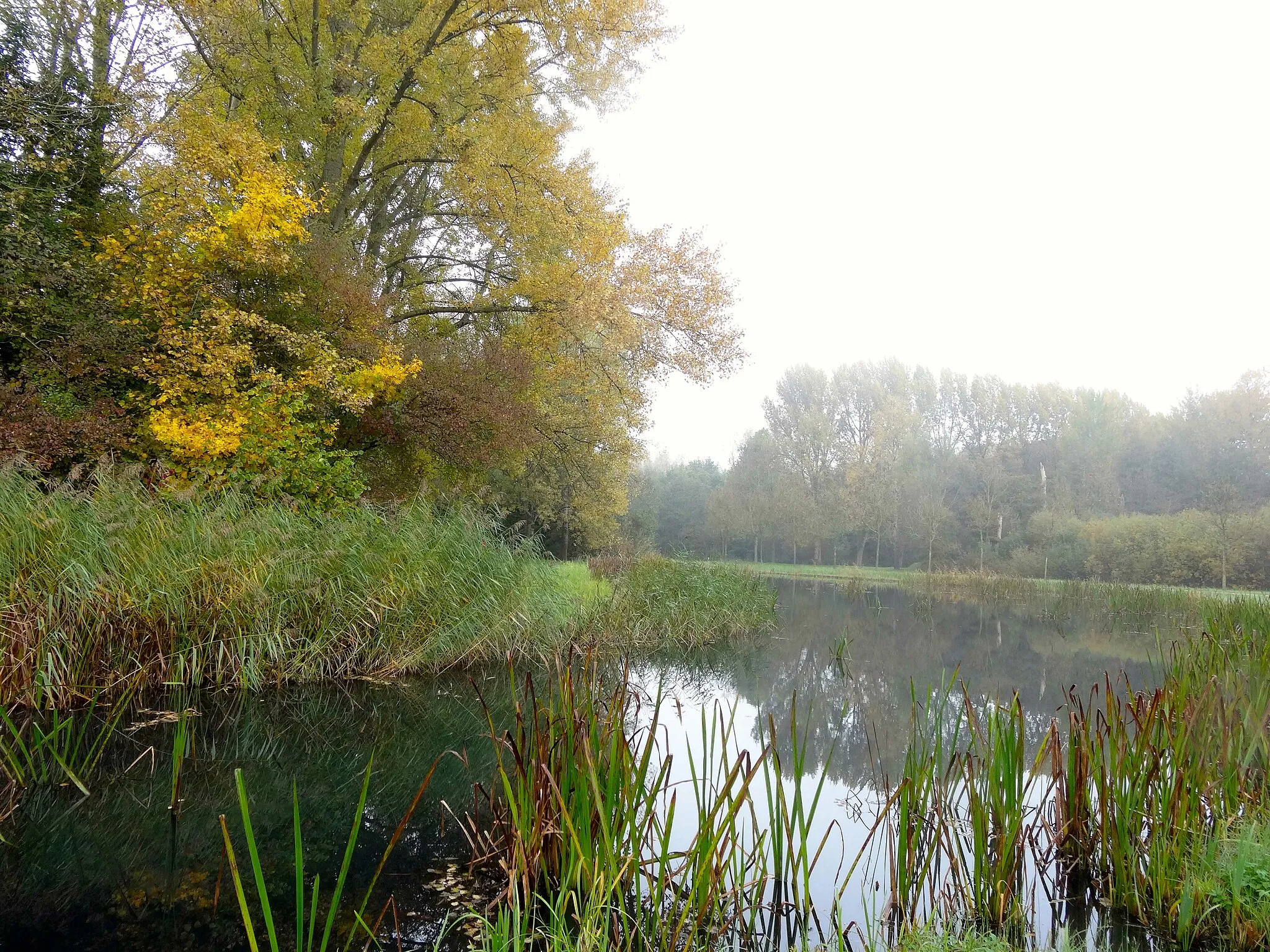 Photo showing: Het Spoolderbos in Zwolle