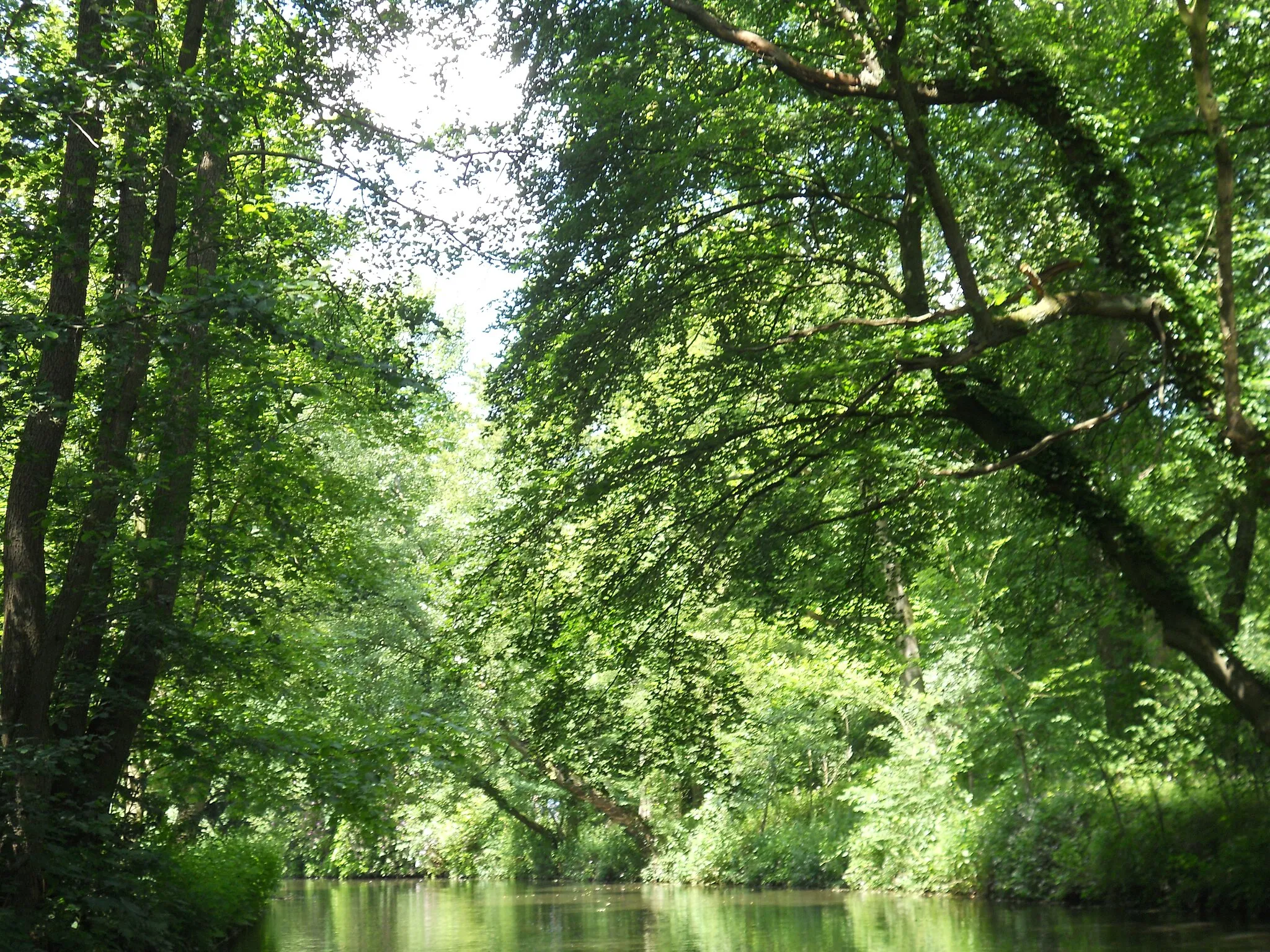 Photo showing: Heiligenbergerbeek nabij park Randenbroek