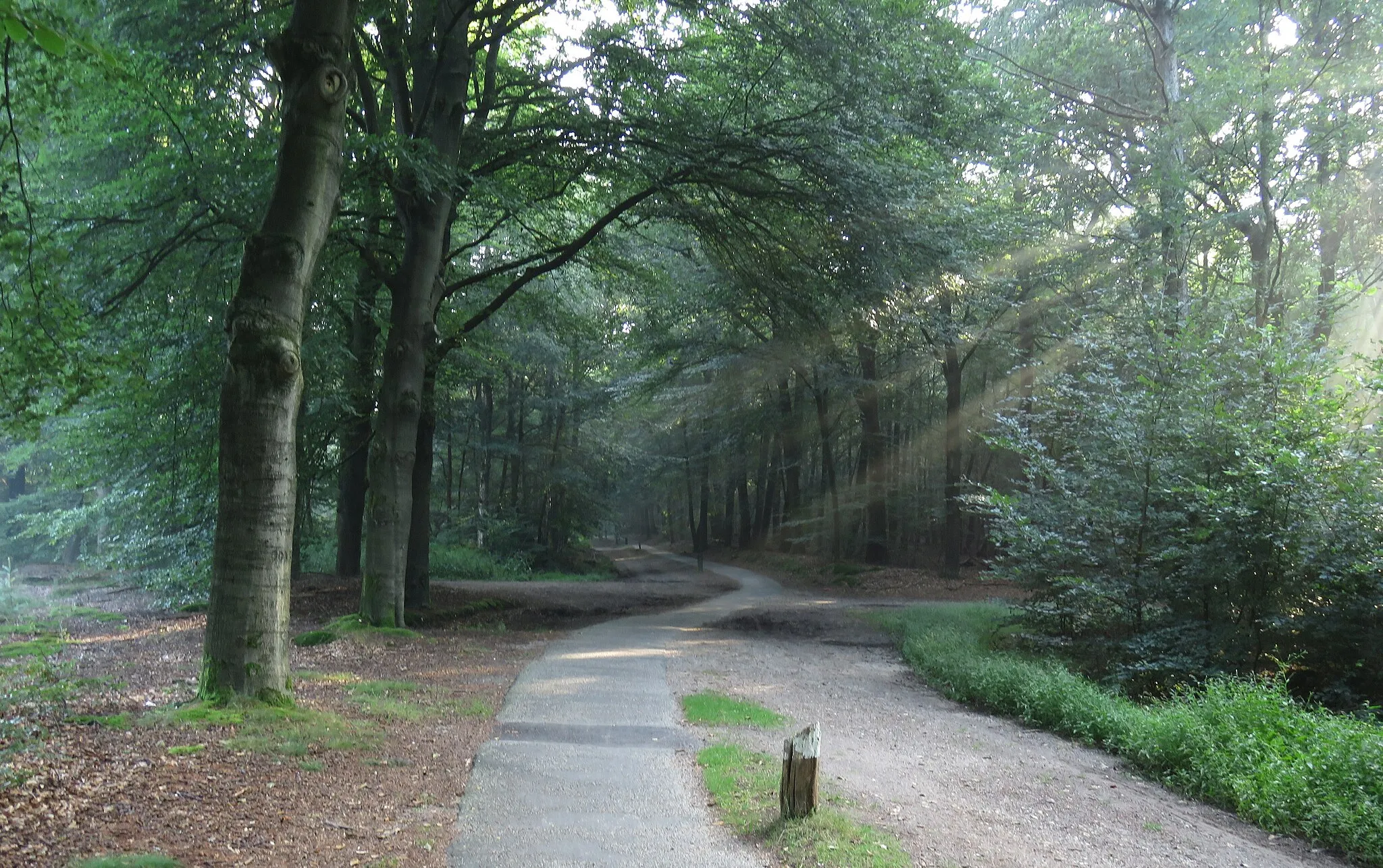 Photo showing: Veenseweg between Amerongen en Veenendaal (NL)