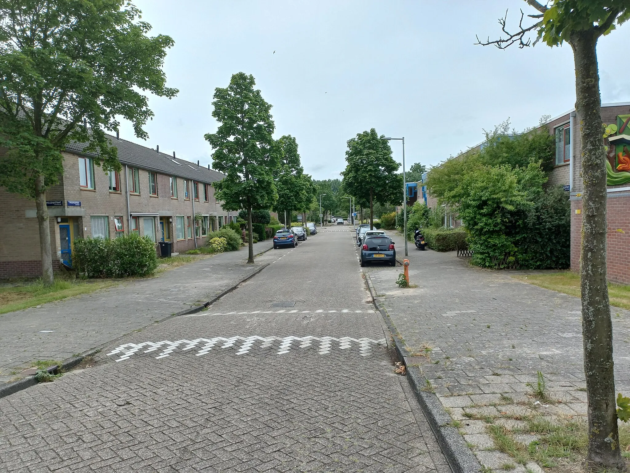 Photo showing: Blik in de Snelleveldstraat, Reigersbos Amsterdam-Zuidoost