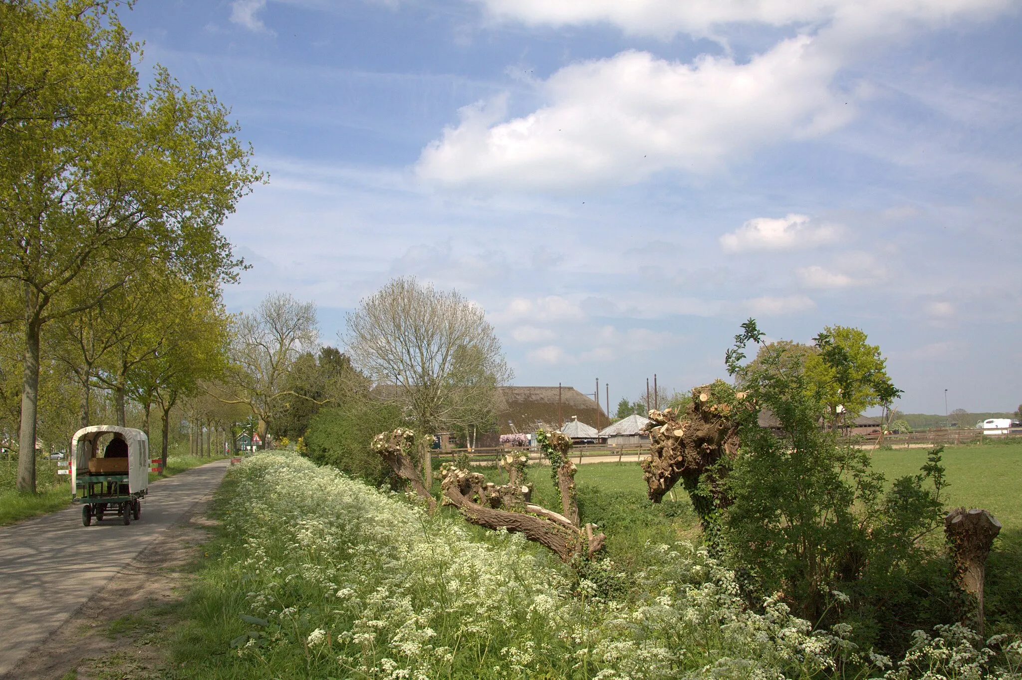 Photo showing: Een romantisch plaatje van de Heemsteedseweg in Houten.
Het is er altijd mooi, maar in het voorjaar zoals overal extra mooi.