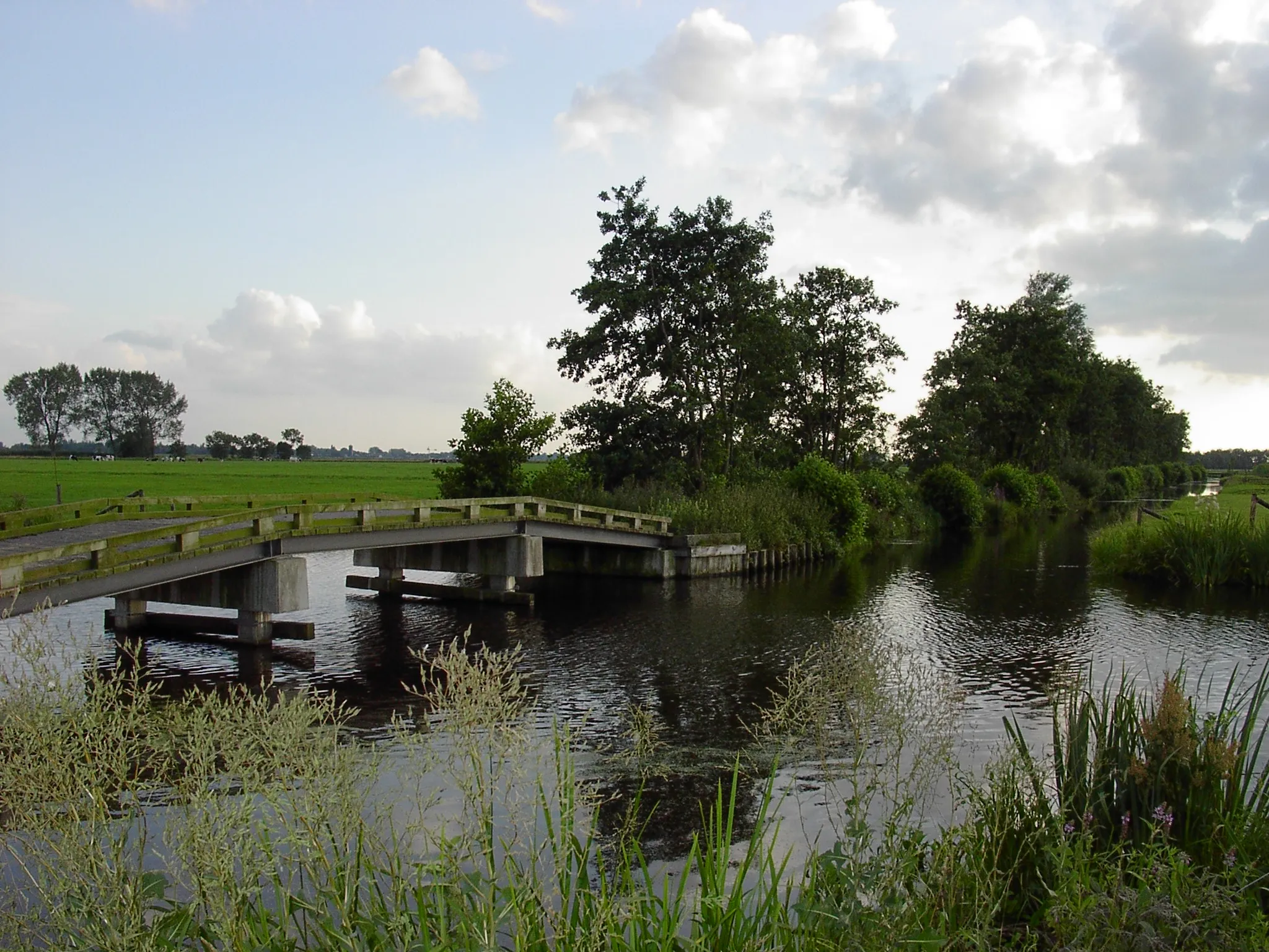 Photo showing: Natuurgebied Willeskop en de Bloklandse Dijk.