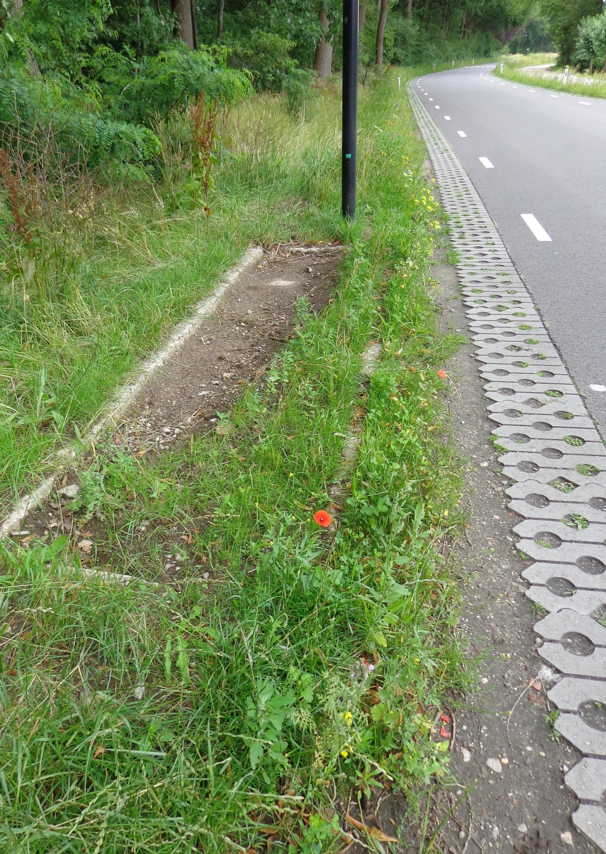 Photo showing: Aspergeversperring Asschatterweg als onderdeel van de Grebbelinie