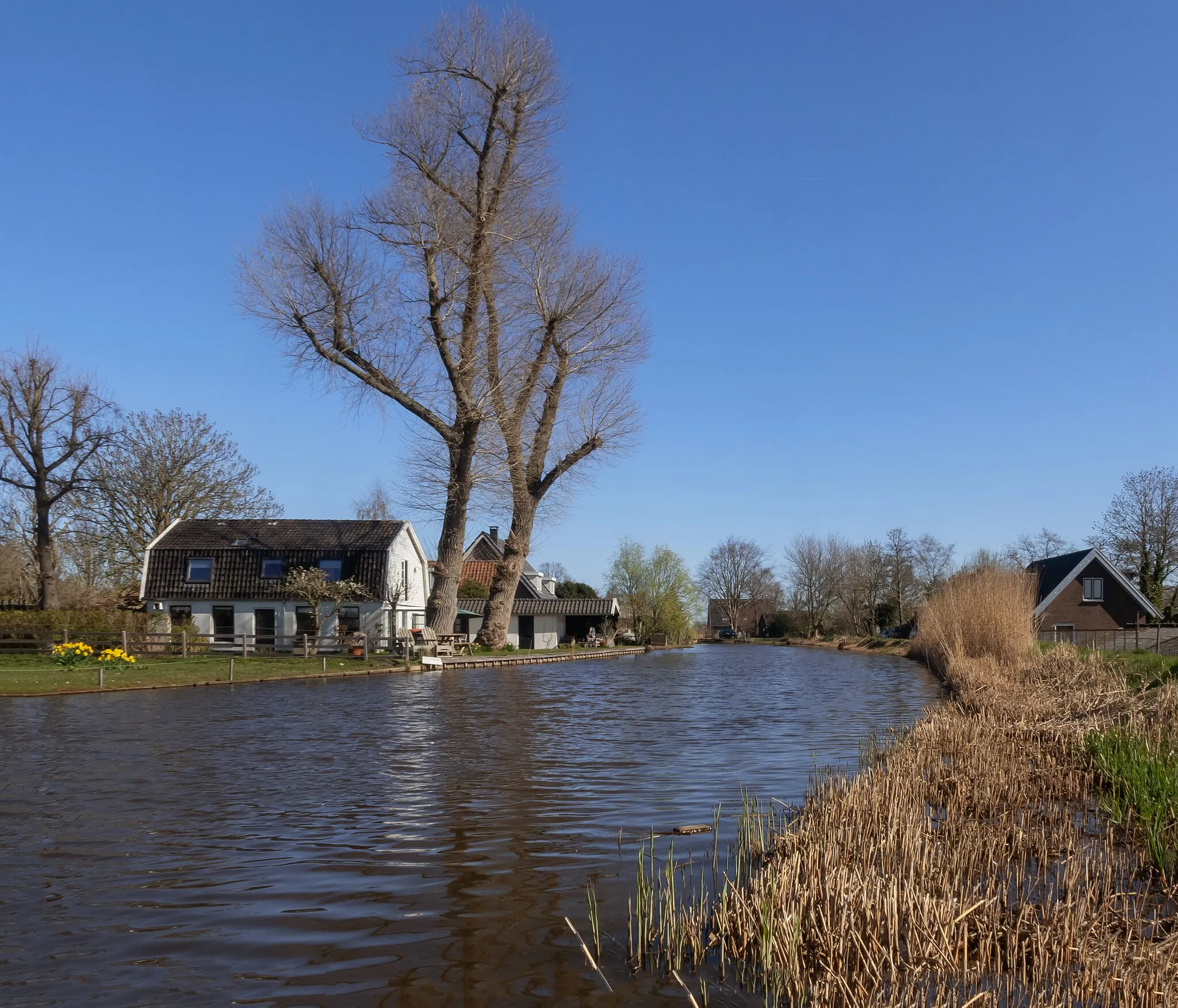 Photo showing: Waver, view to the Waver river from the Botshol