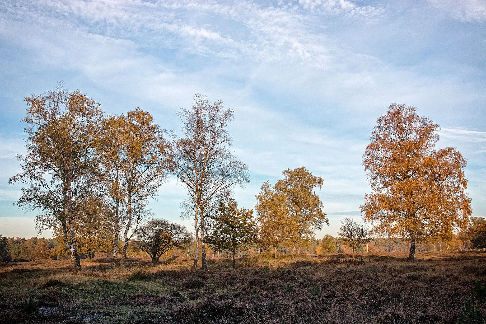 Photo showing: De Kuil van Drakensteyn, Lage Vuursche, Holland