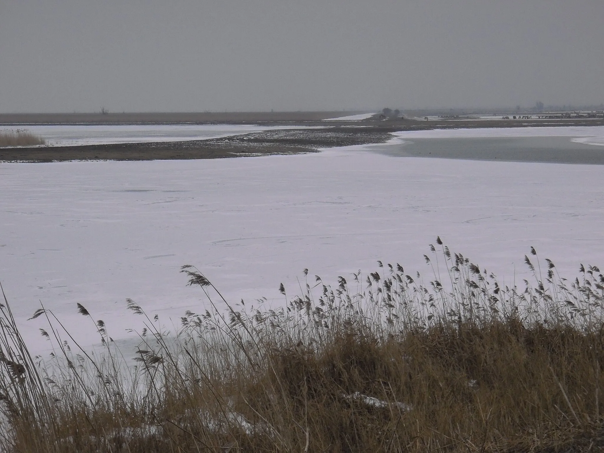 Photo showing: Oostvaarderseplassen - Almere - February 2010