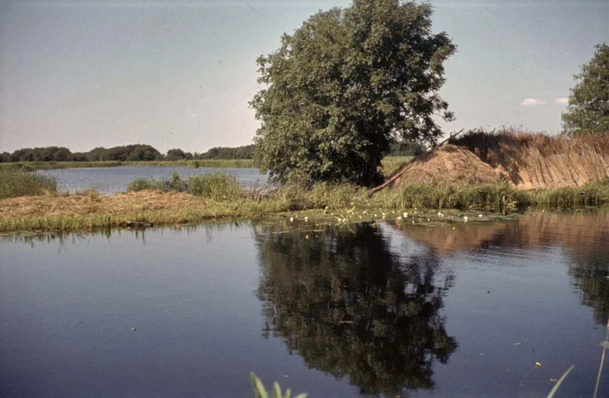 Photo showing: Overzicht: De Meije stroomopwaarts met zicht op Nieuwkoopseplas