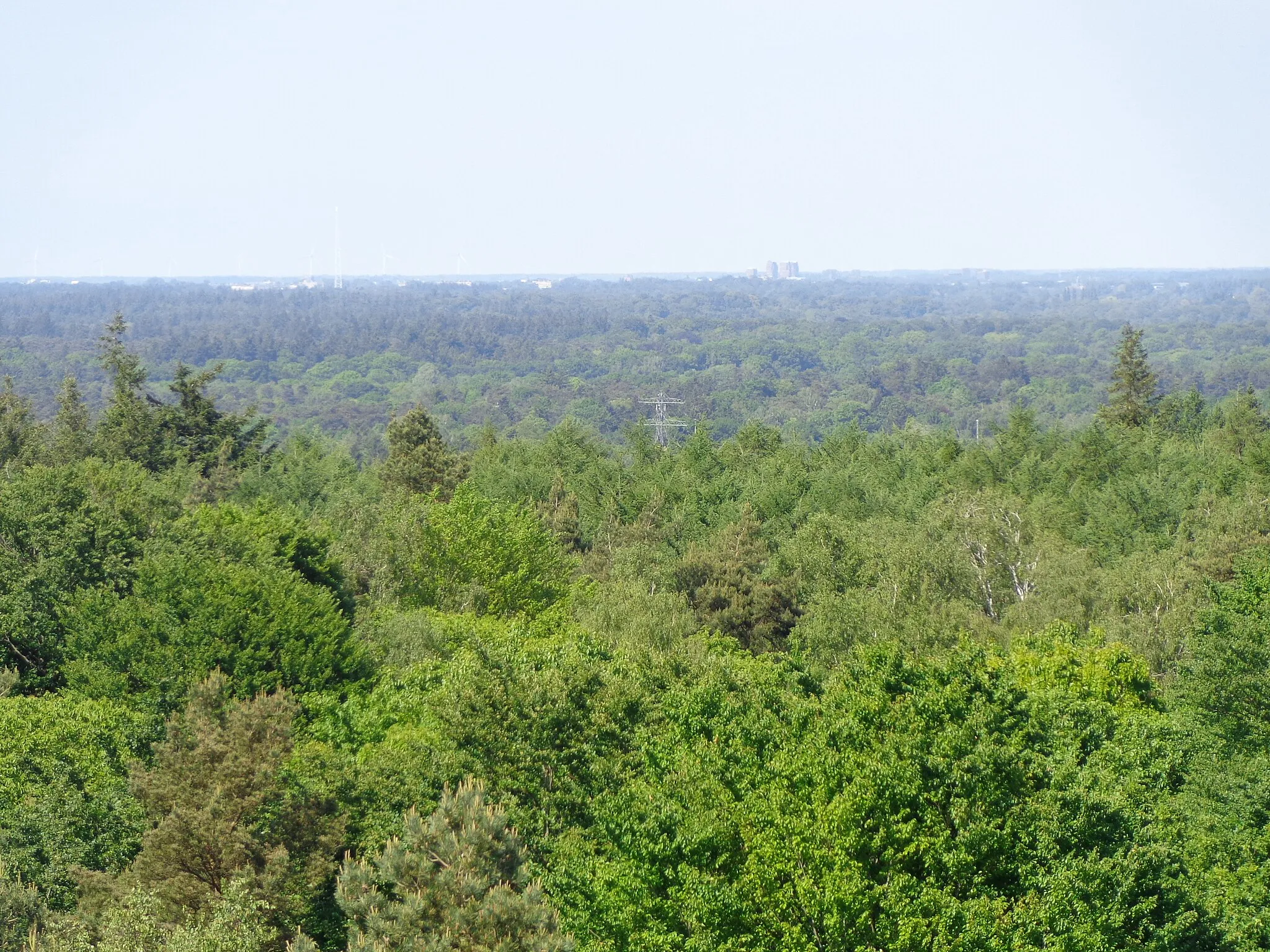 Photo showing: This is a photo or sound file made in Utrechtse Heuvelrug National Park in the Netherlands, with the main subject of the file in the category: landscapes