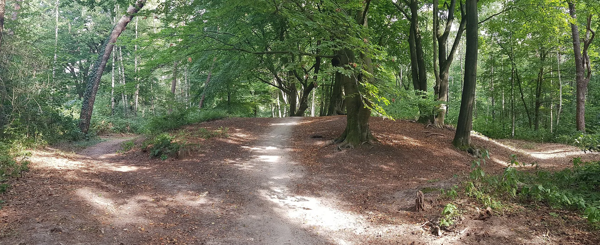 Photo showing: De heuvel van het Doolhof op Landgoed Kernhem in Ede, Nederland