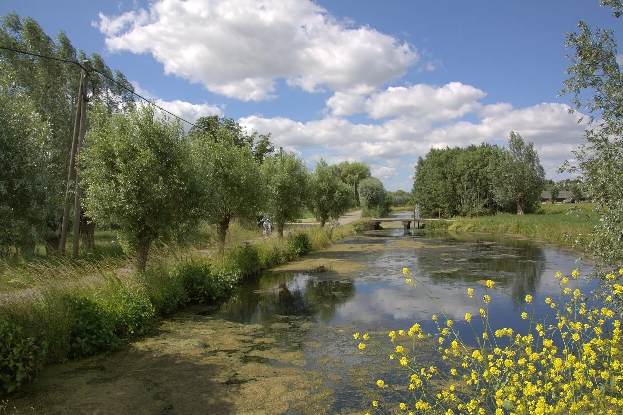 Photo showing: In de mooie maand juni zijn we hier in het buurtschap Westeinde en genieten van het mooie landschap daar. de weg is smal en het water breed.