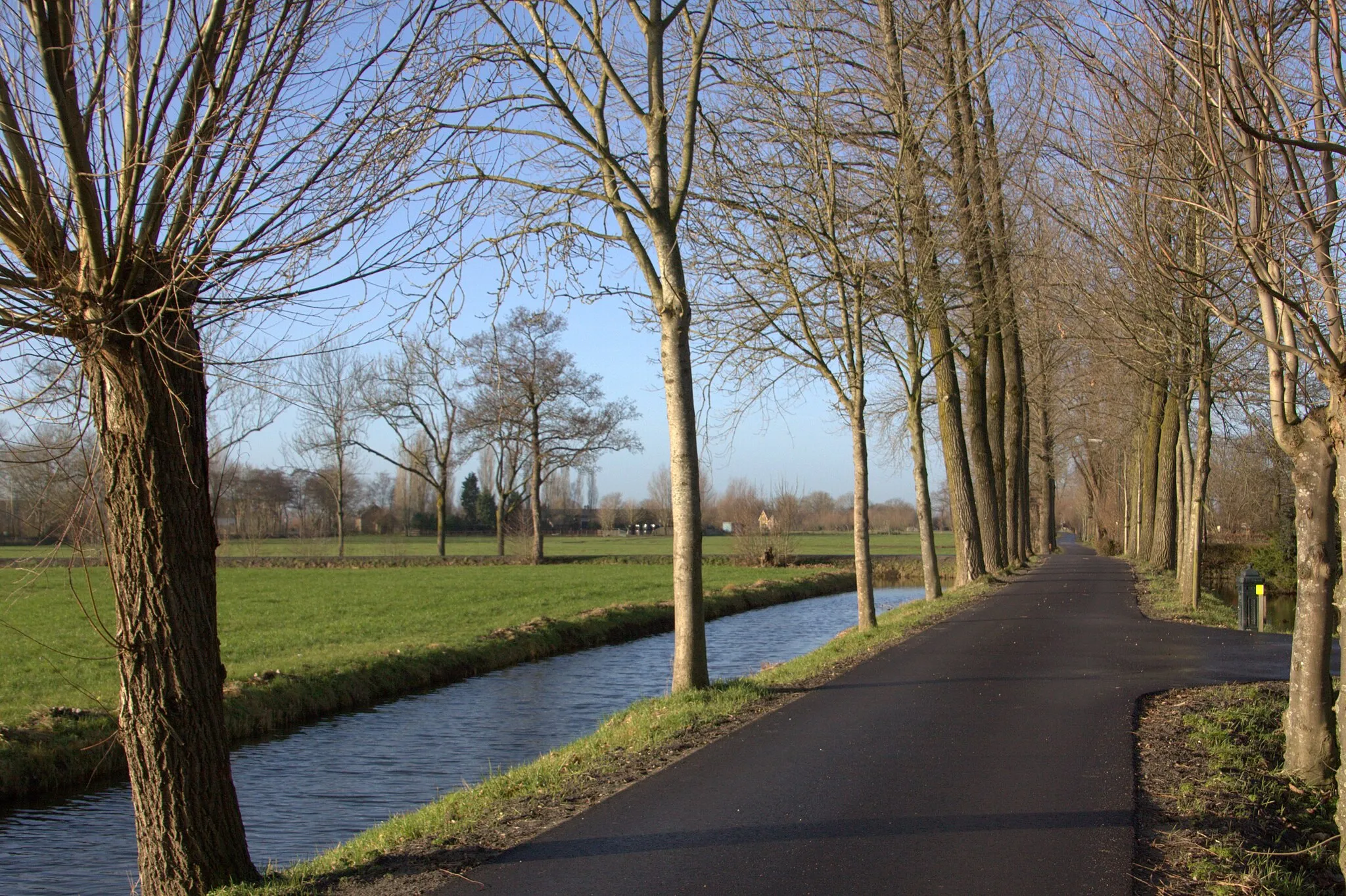 Photo showing: Een blik op de Houtdijk met zijn statige bomen in het buurtschap Houtdijken midden ide Polder Klein Houtdijken.