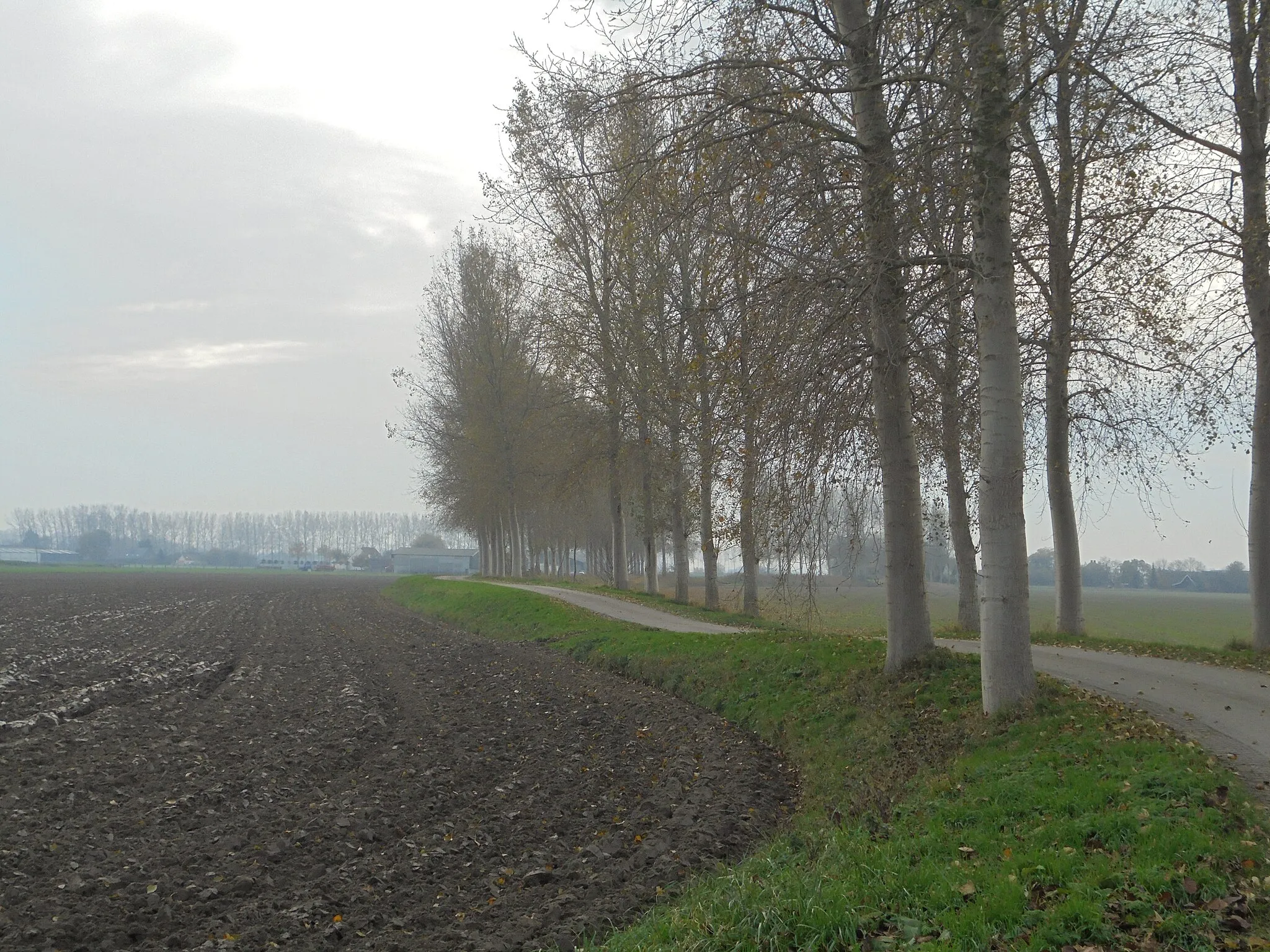 Photo showing: De Krakeeldijk - Waterlandkerkje - Sluis - Zeeuws-Vlaanderen - Zeeland - Nederland.