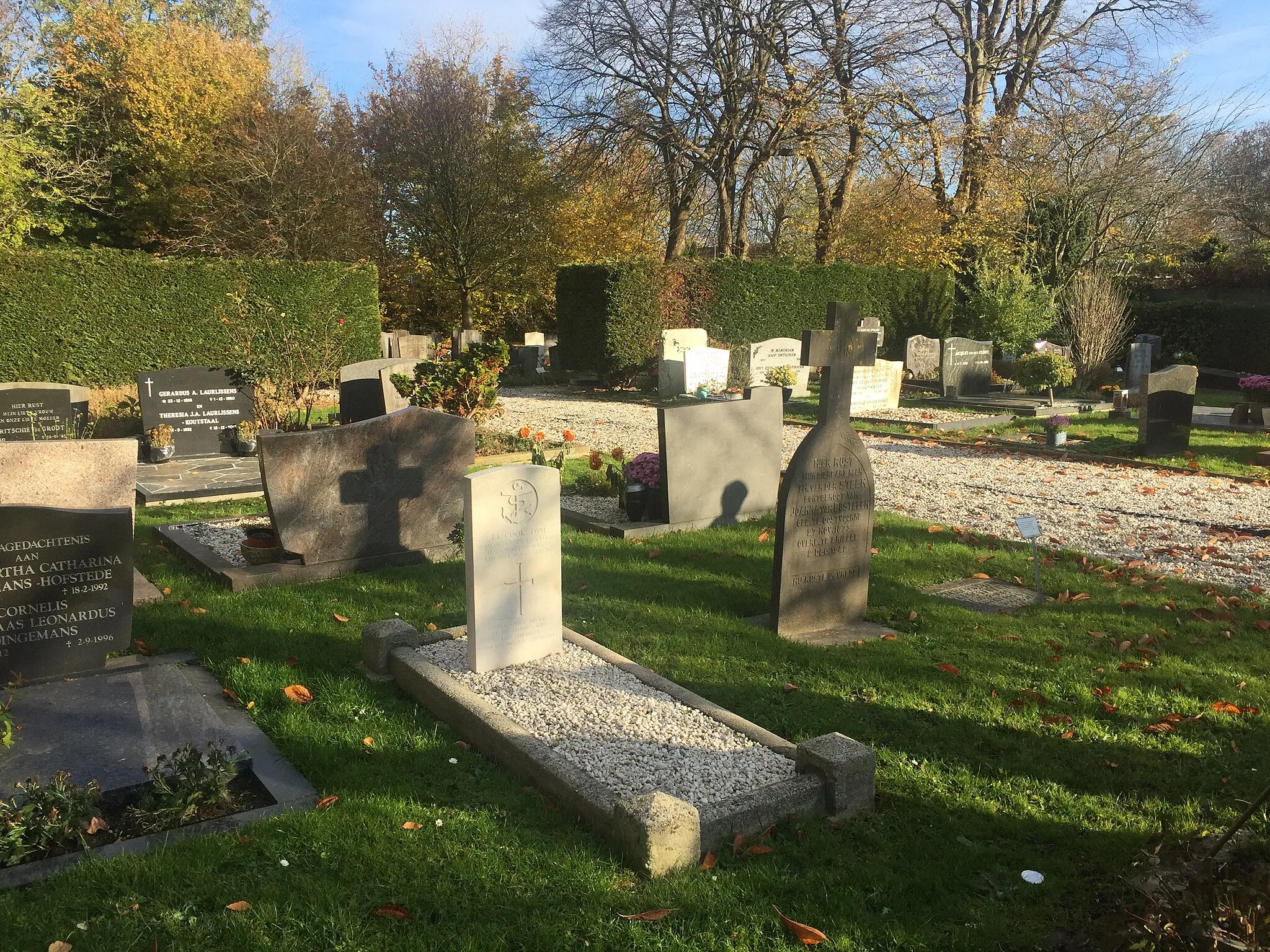 Photo showing: Commonwealth war grave of Seaman Thomas Cook, DSM, Royal Naval Reserve, in the Roman Catholic cemetery of Oostvoorne in The Netherlands. Cook served in the Royal Naval Patrol Service, and was killed, aged 29, when HM Trawler Cayton Wyke was sunk by torpedo in the Straits of Dover on 8 July 1940.