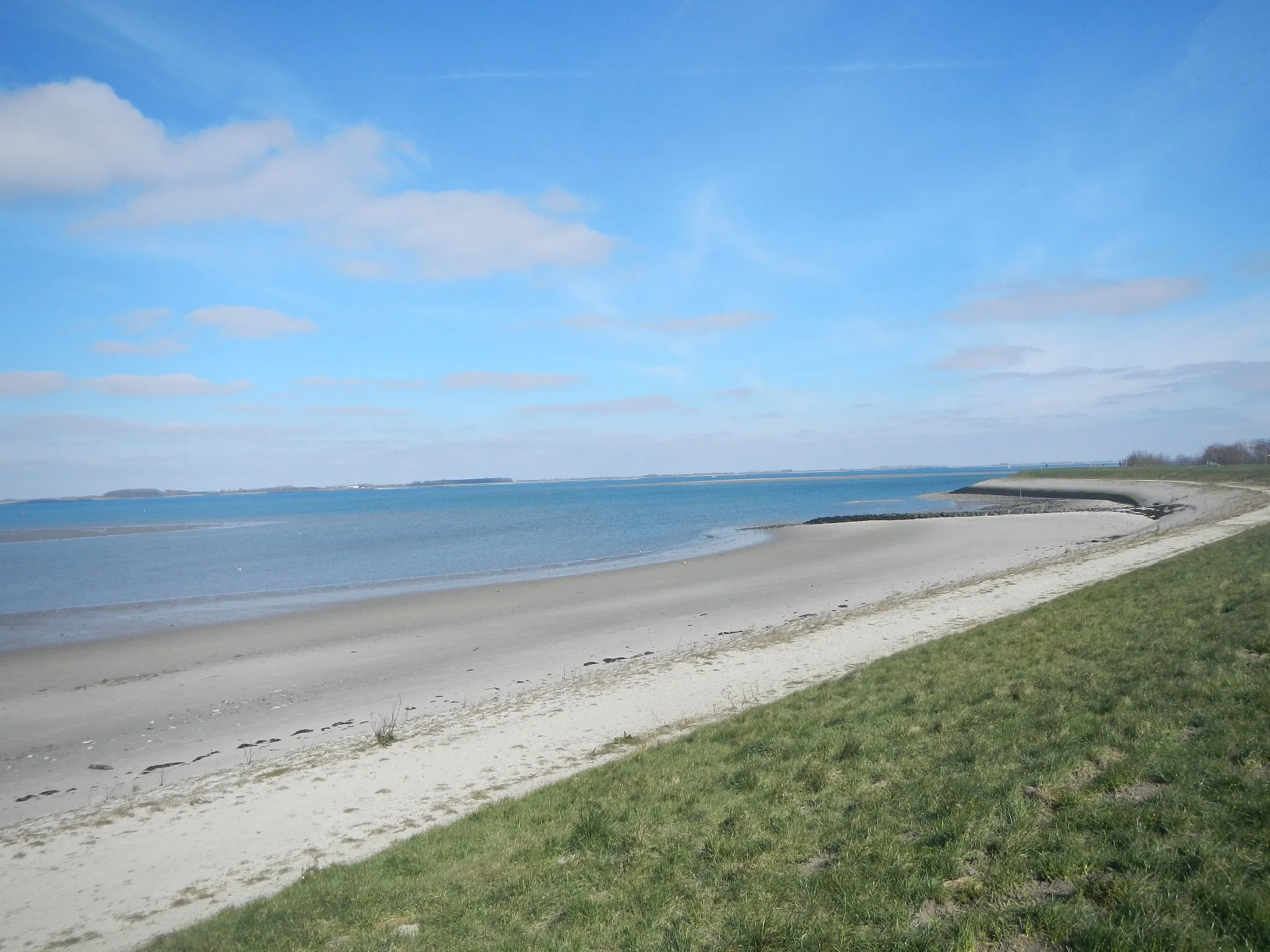 Photo showing: Zicht op de Westerschelde en het strand van Yerseke vanaf de dijk.